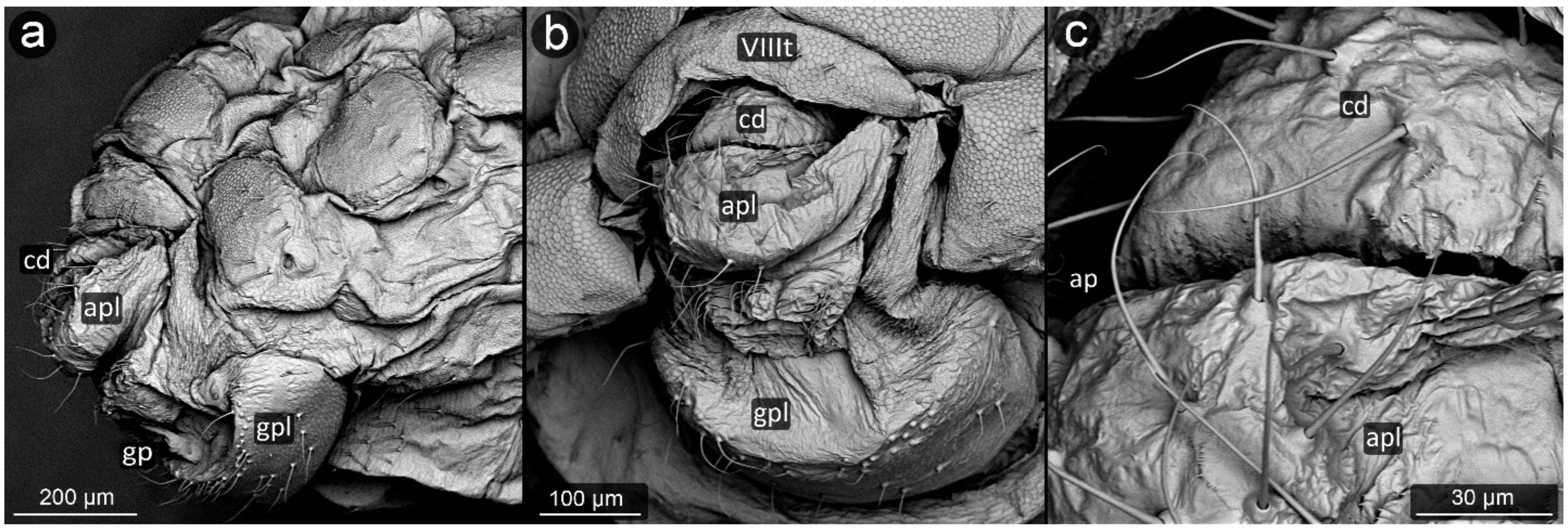 Insects 13 01160 g004 Insects 13 01160 g004