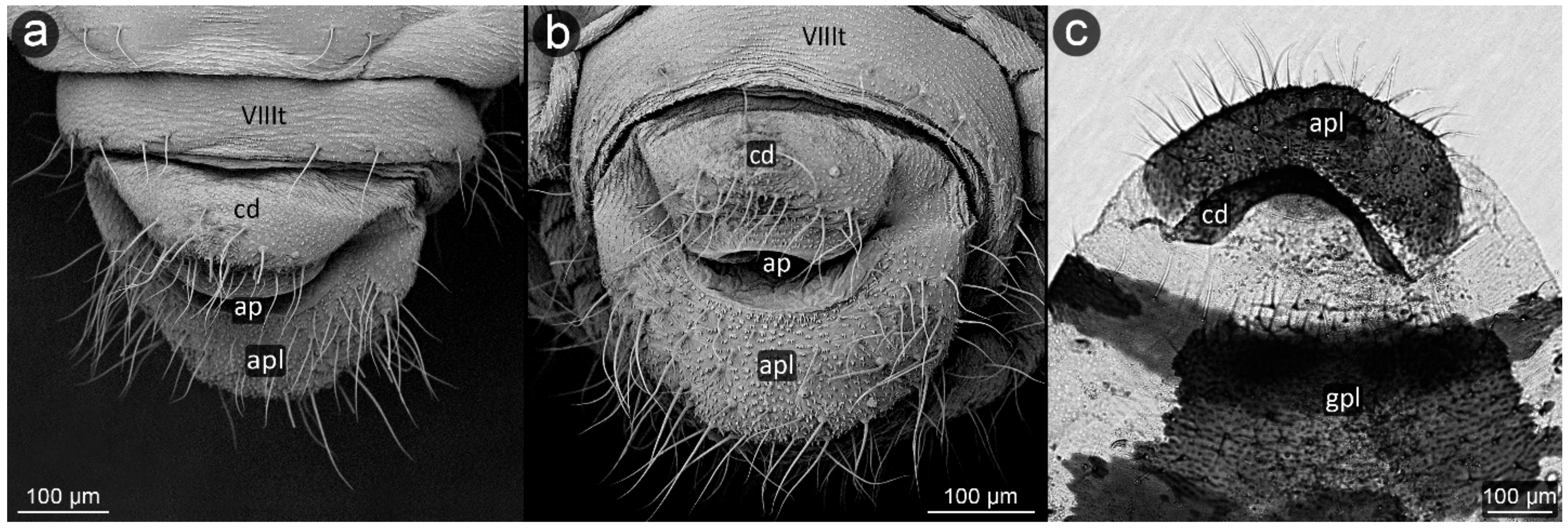 Insects 13 01160 g006 Insects 13 01160 g006