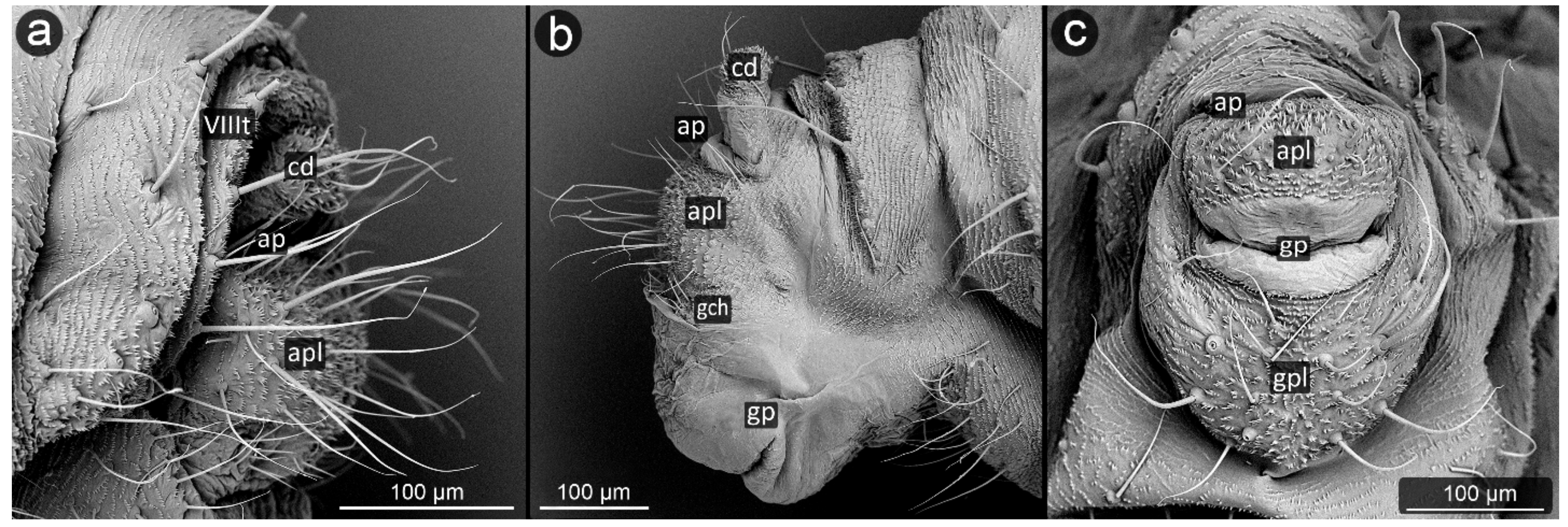 Insects 13 01160 g008 Insects 13 01160 g008