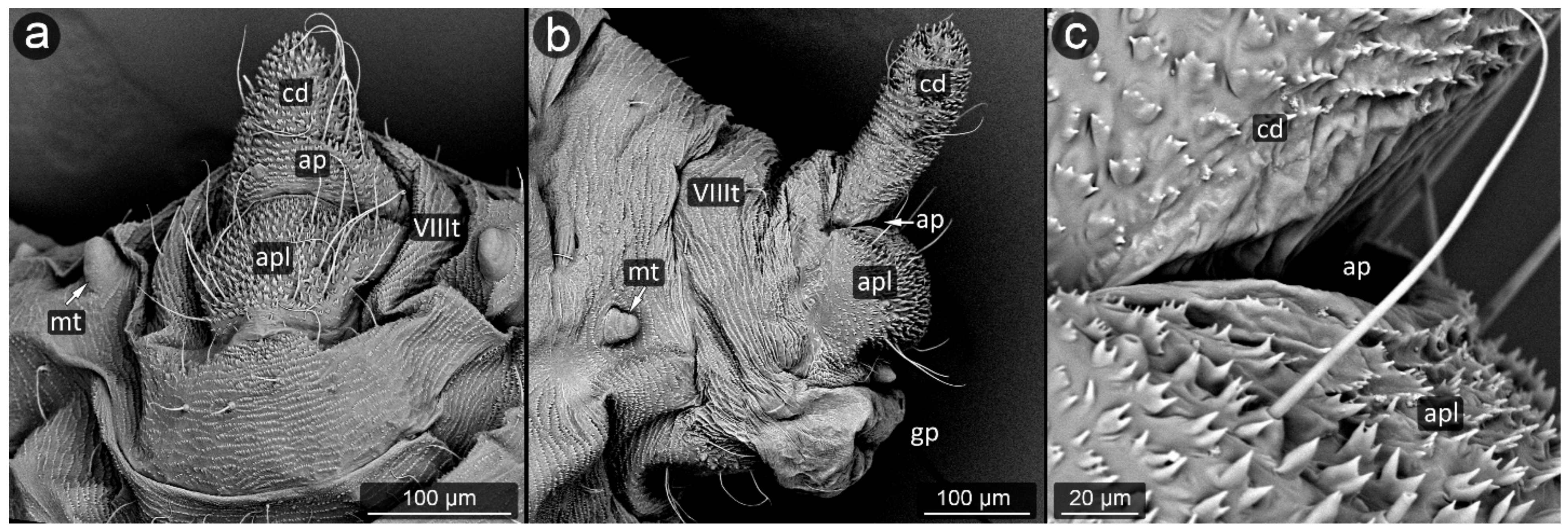 Insects 13 01160 g011 Insects 13 01160 g011