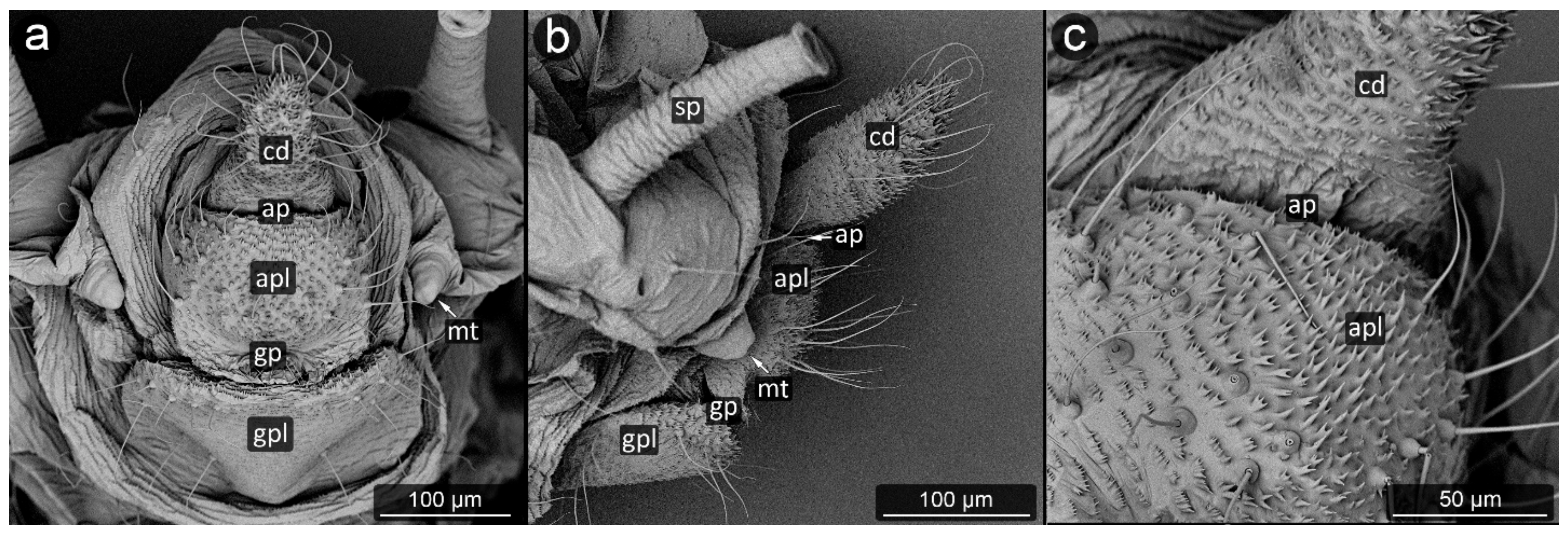 Insects 13 01160 g012 Insects 13 01160 g012