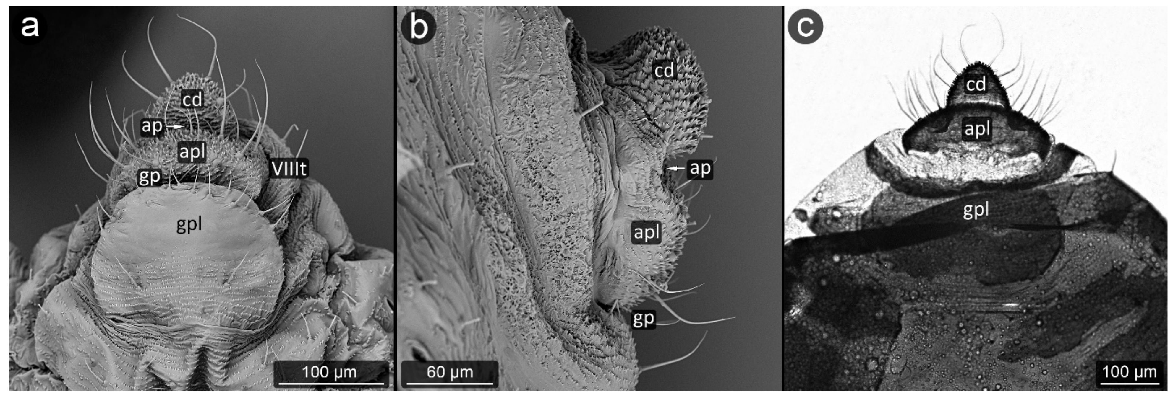Insects 13 01160 g013 Insects 13 01160 g013