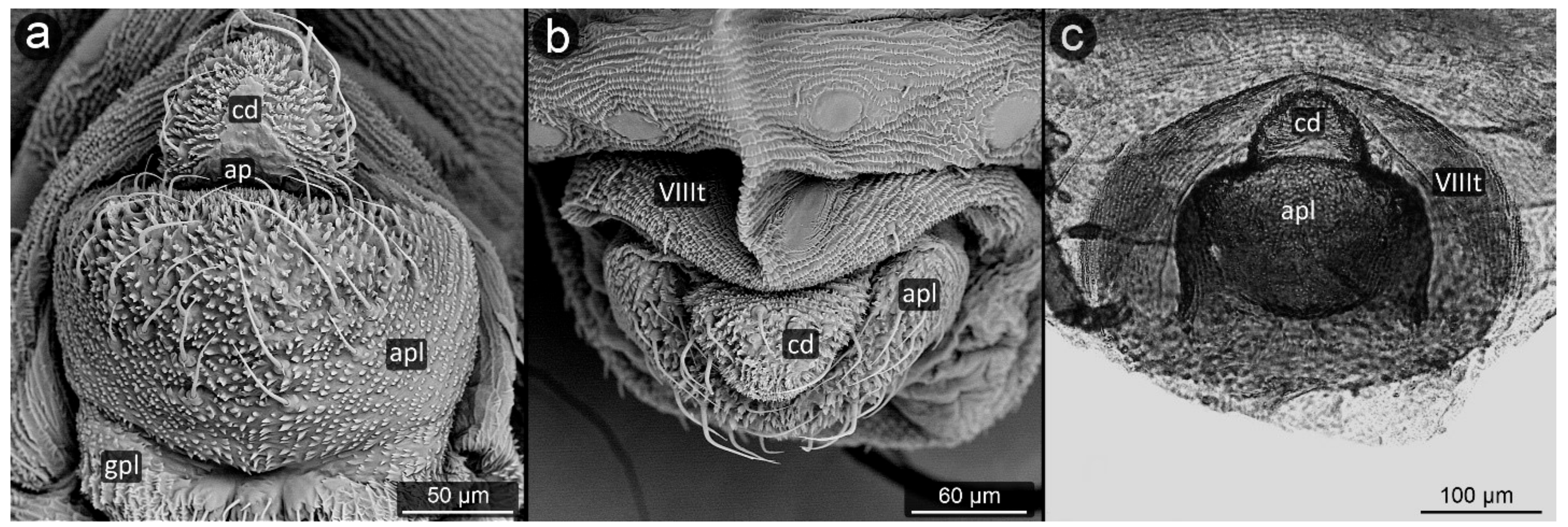 Insects 13 01160 g014 Insects 13 01160 g014