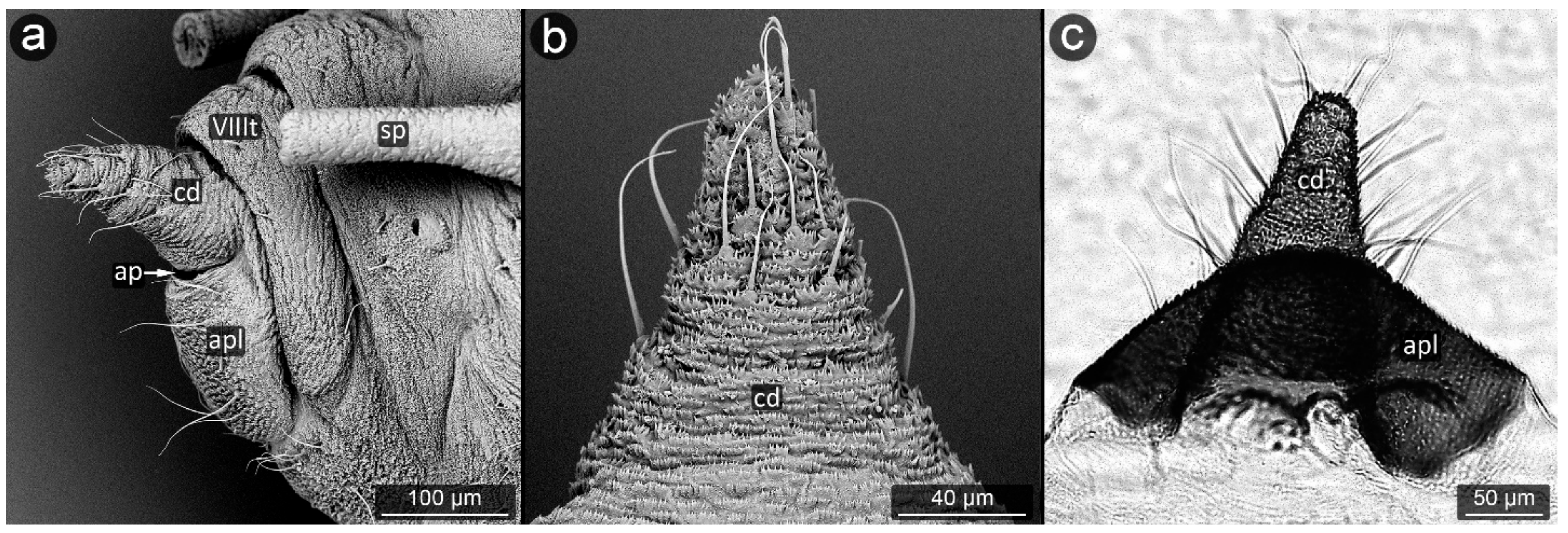 Insects 13 01160 g015 Insects 13 01160 g015