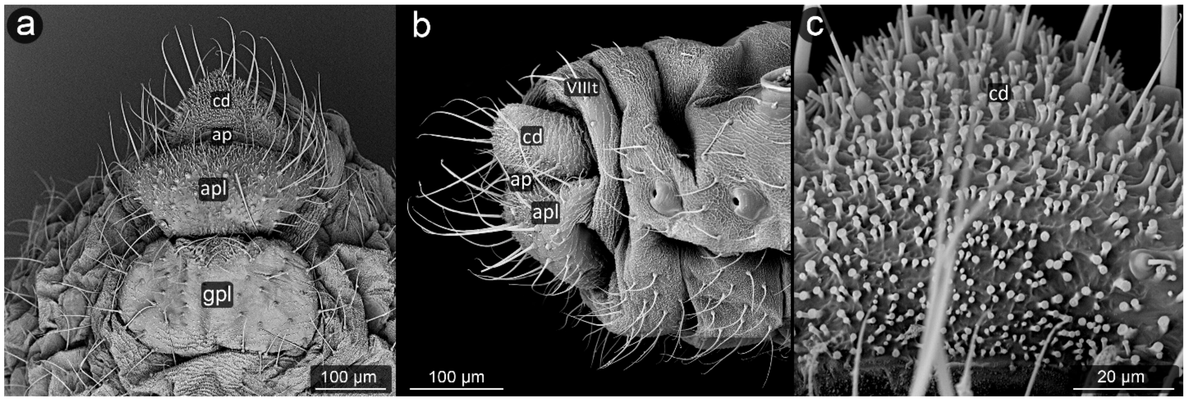 Insects 13 01160 g018 Insects 13 01160 g018