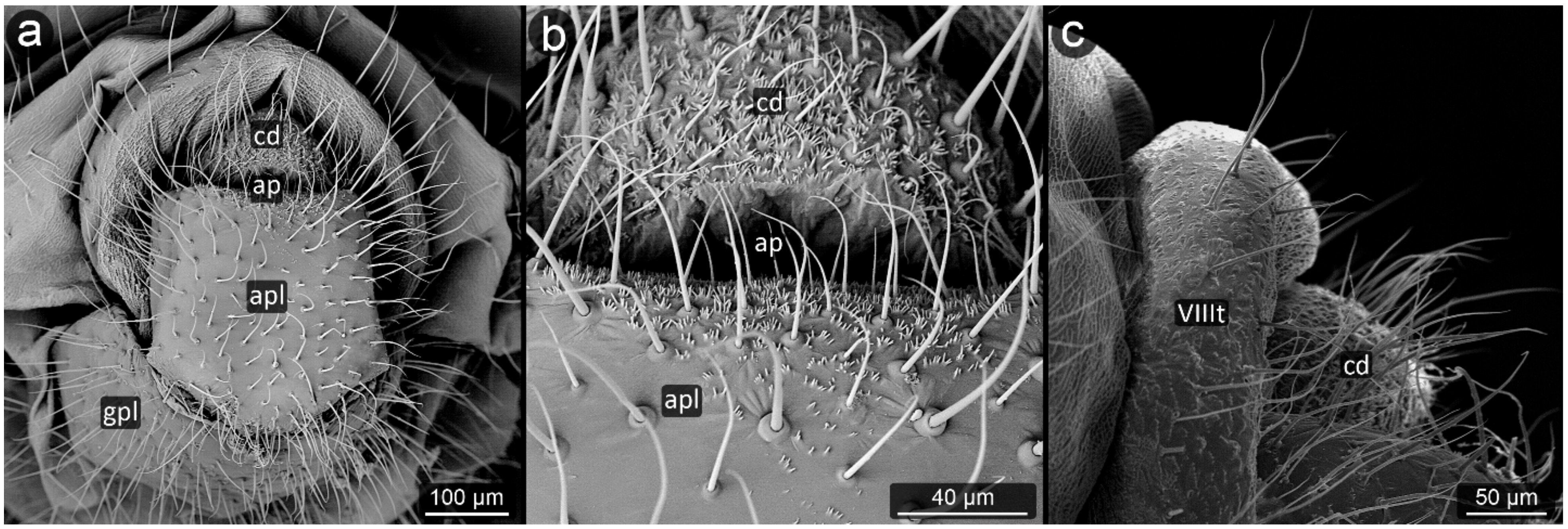 Insects 13 01160 g019 Insects 13 01160 g019