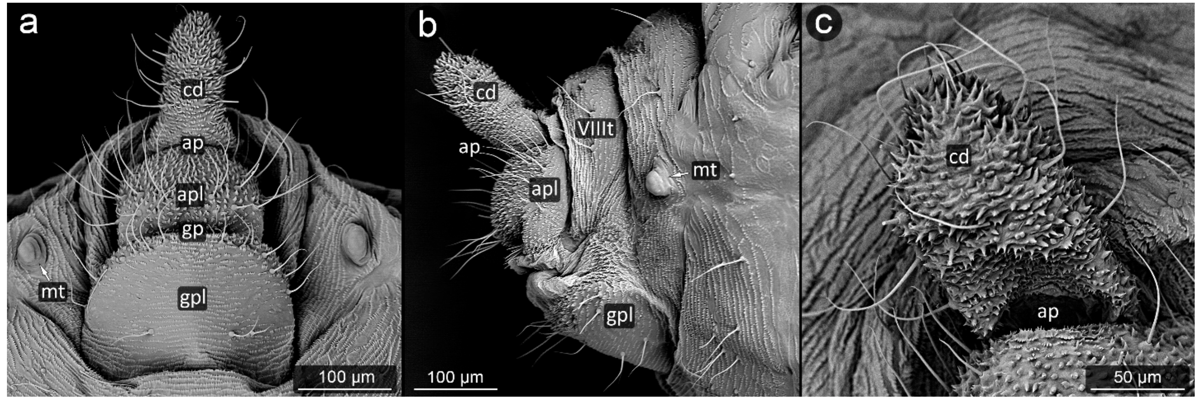 Insects 13 01160 g022 Insects 13 01160 g022