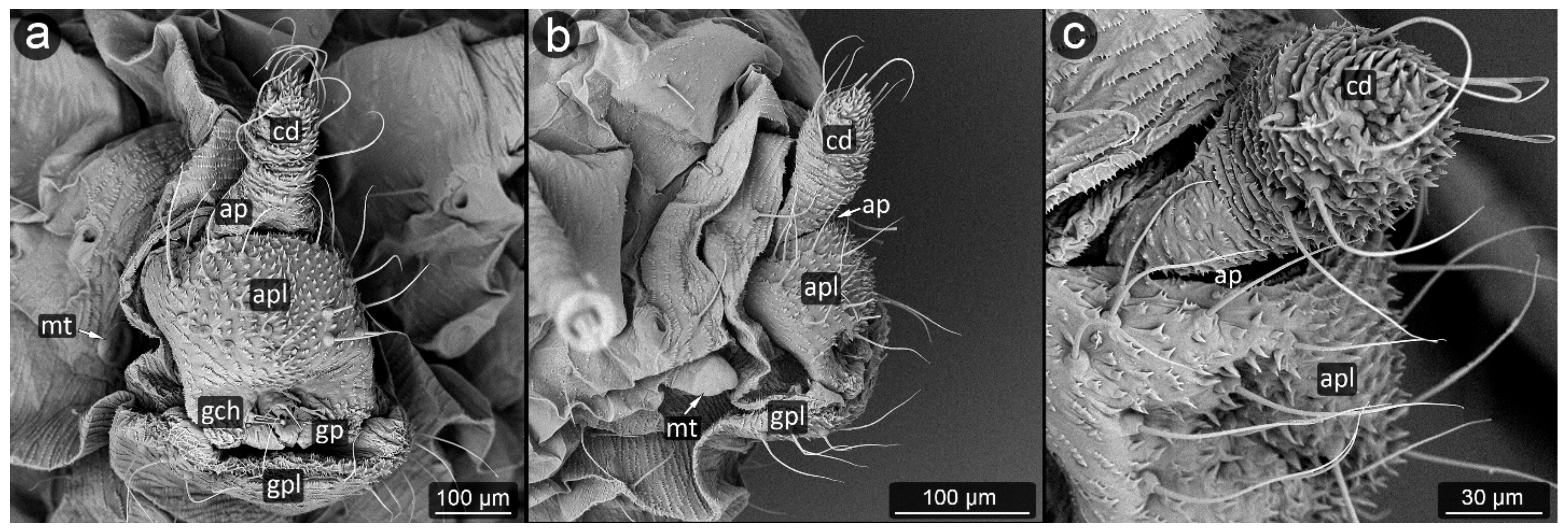 Insects 13 01160 g023 Insects 13 01160 g023