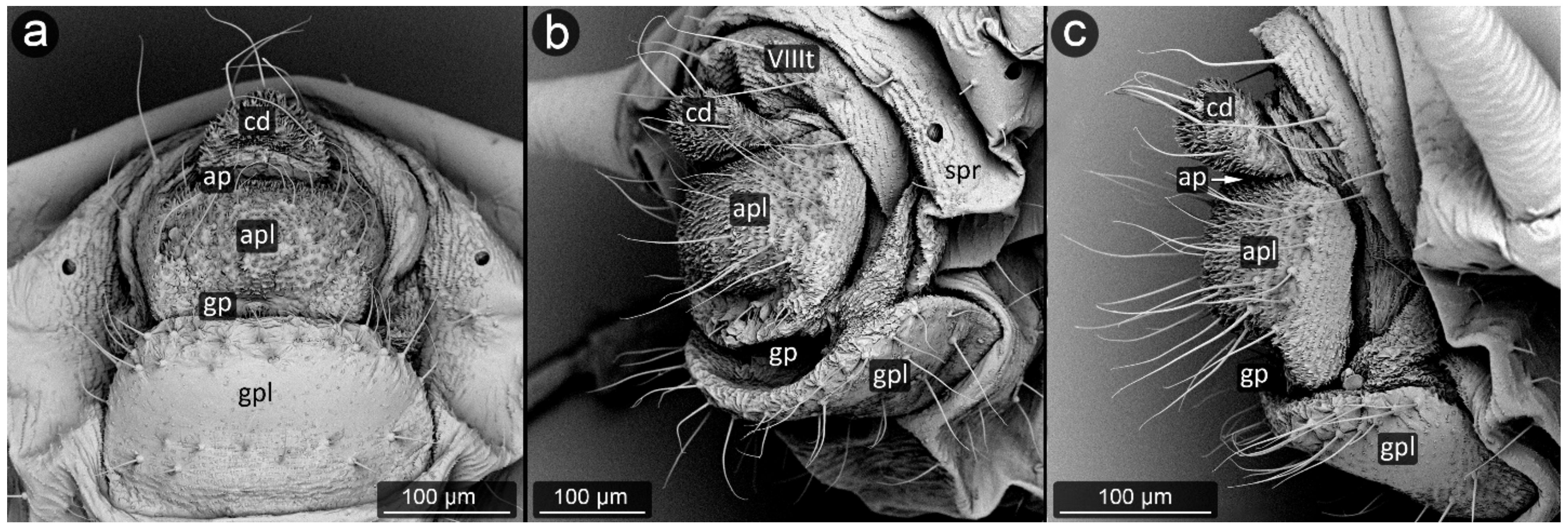 Insects 13 01160 g024 Insects 13 01160 g024