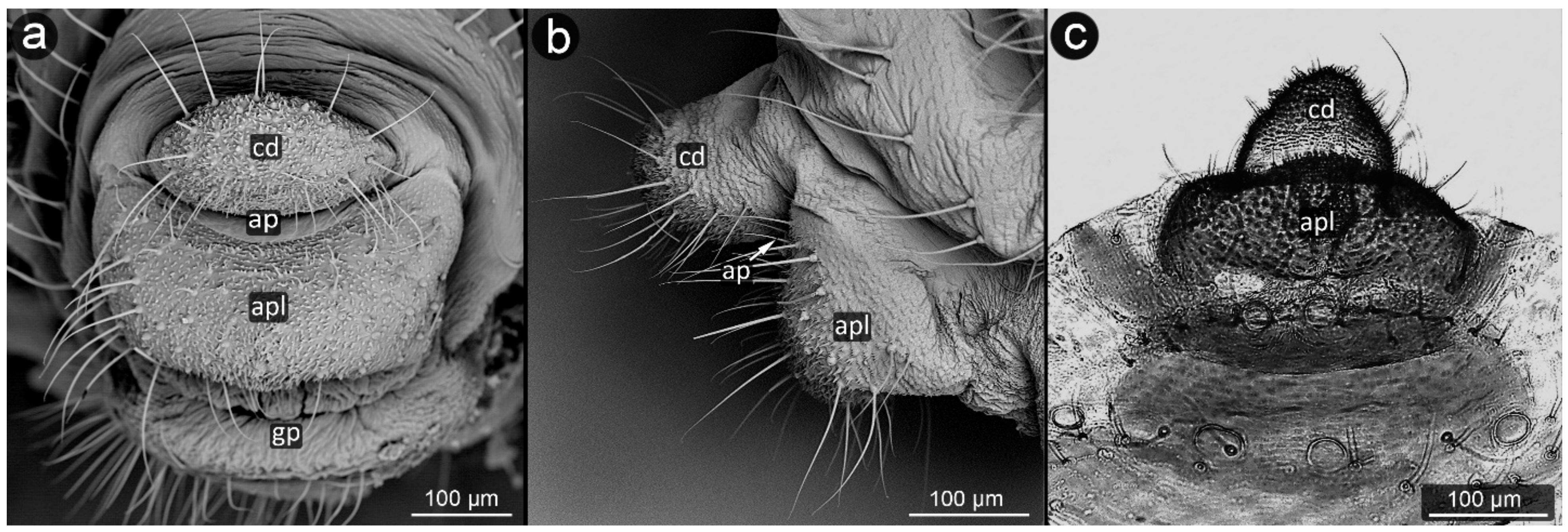 Insects 13 01160 g025 Insects 13 01160 g025