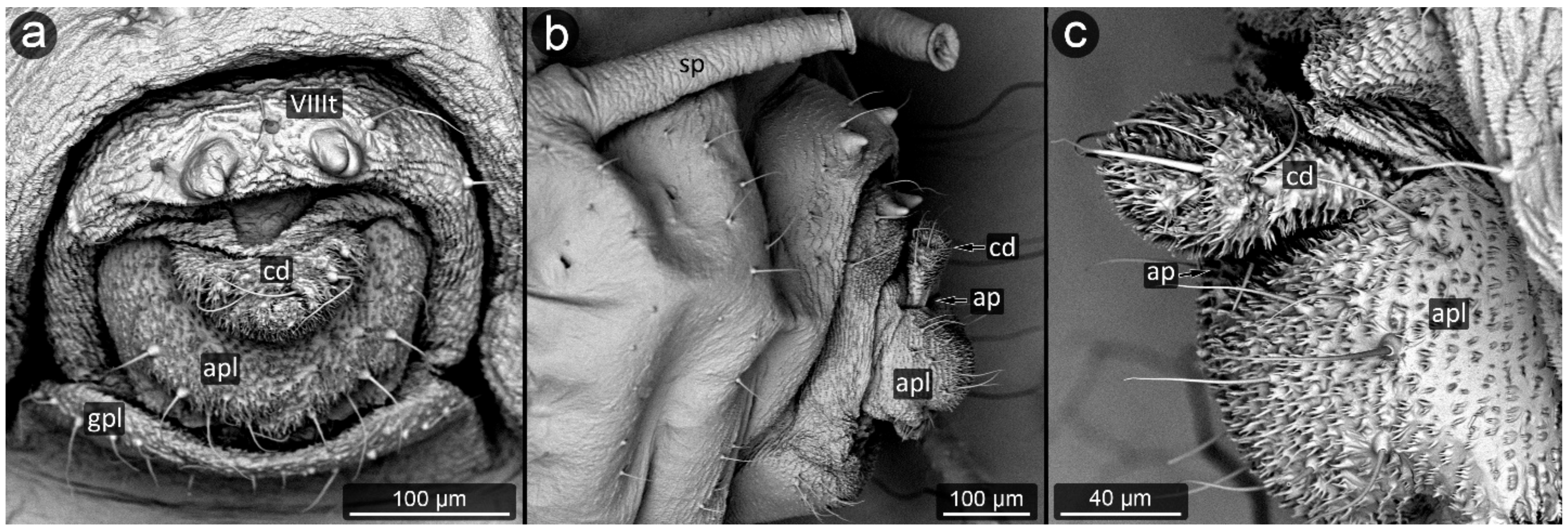 Insects 13 01160 g026 Insects 13 01160 g026