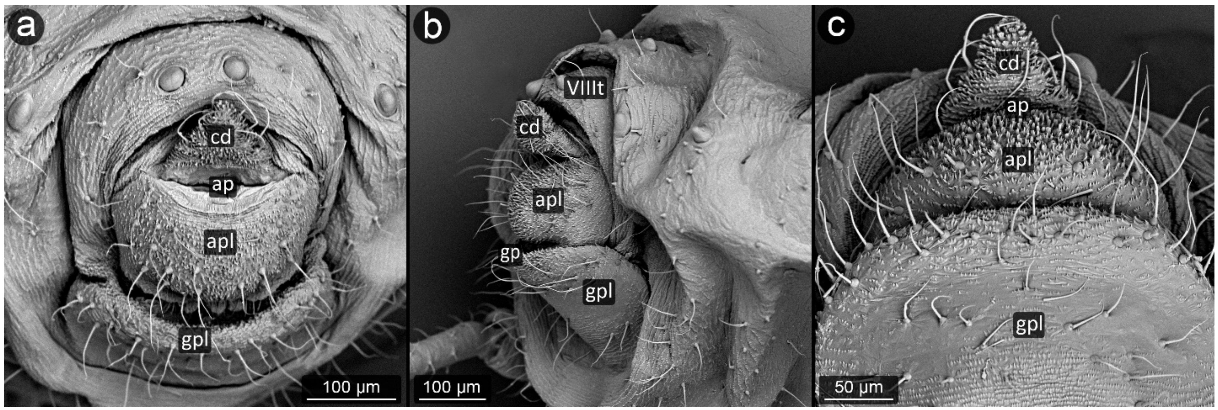 Insects 13 01160 g027 Insects 13 01160 g027