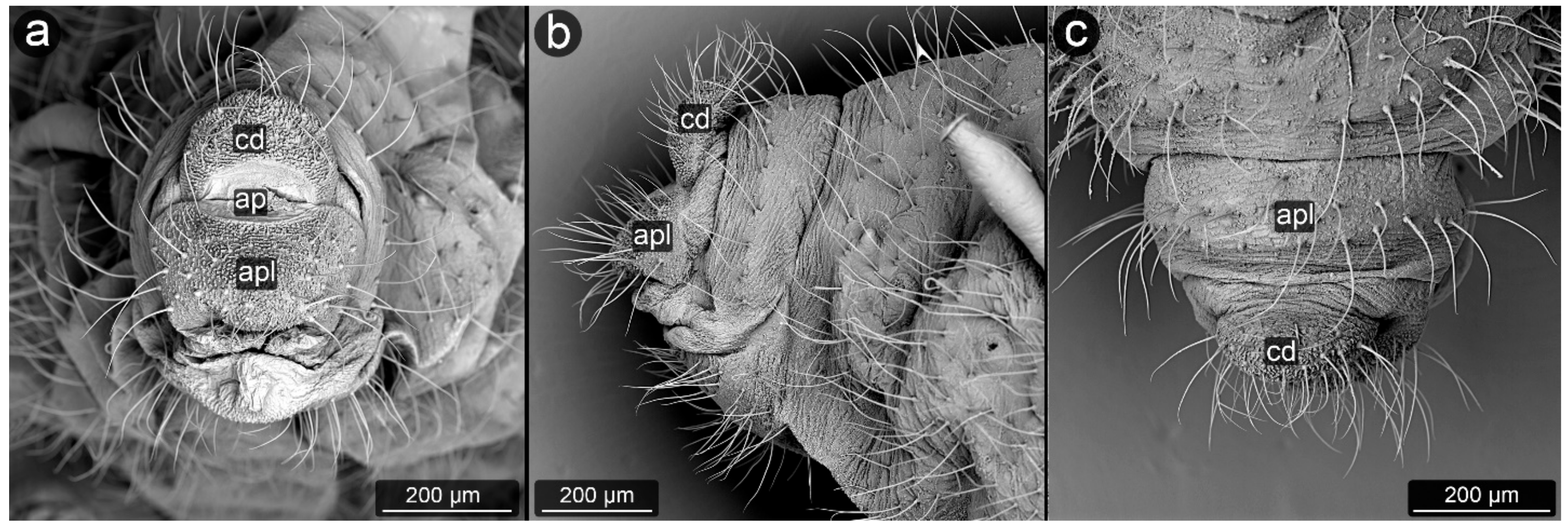 Insects 13 01160 g029 Insects 13 01160 g029
