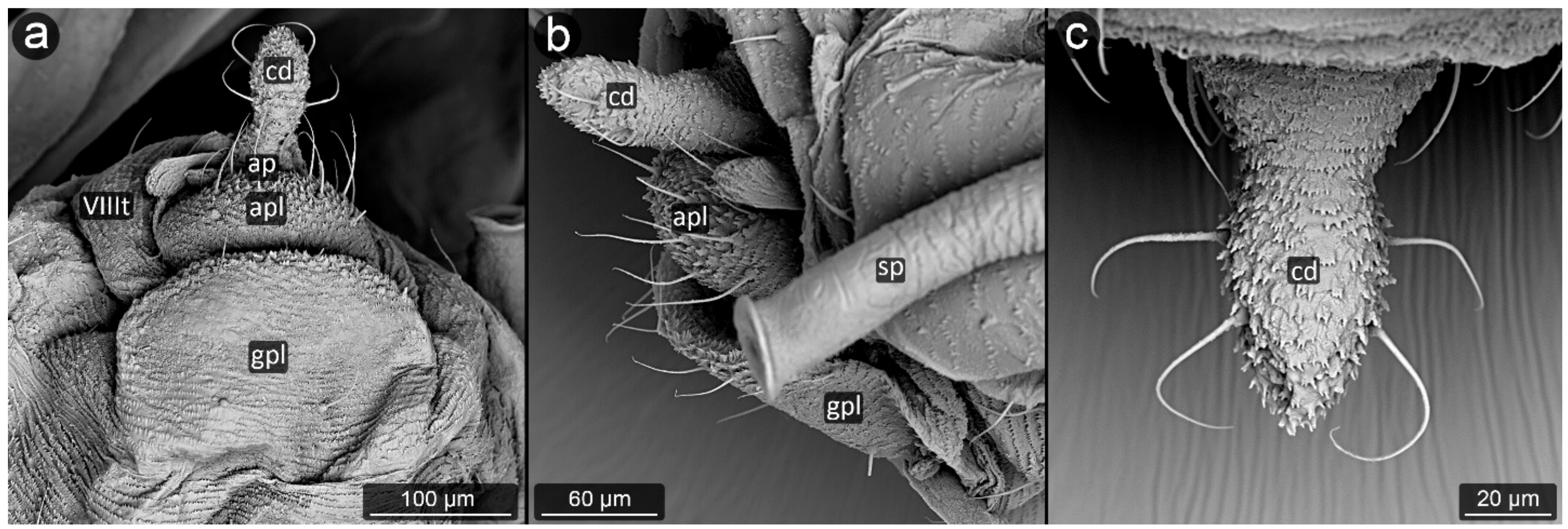 Insects 13 01160 g030 Insects 13 01160 g030