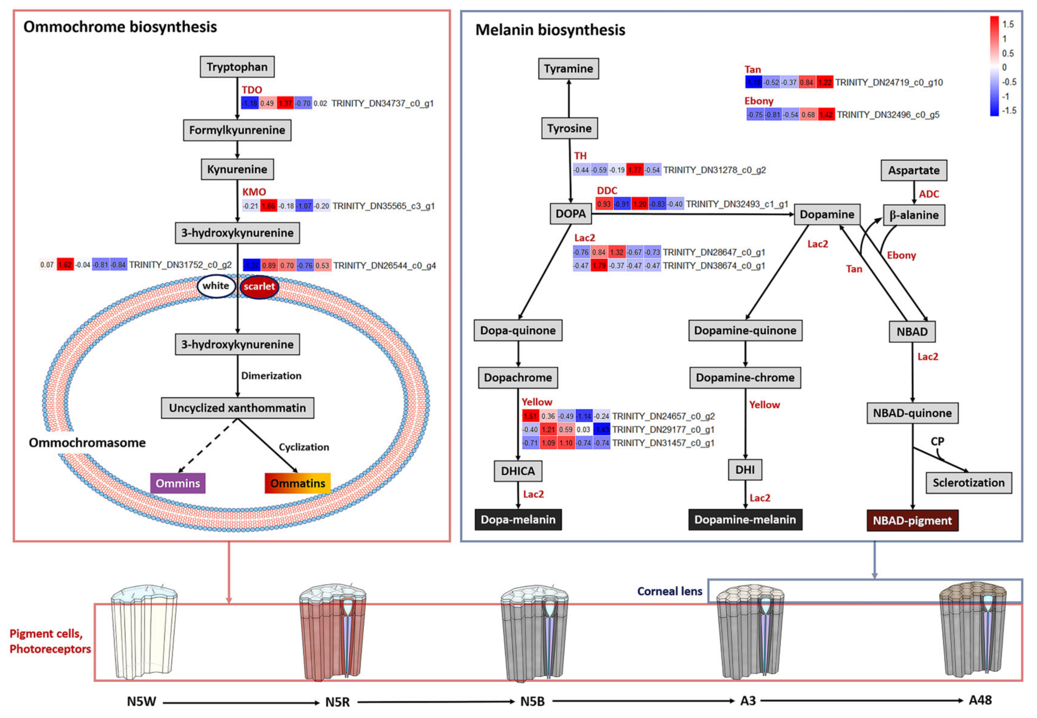 Insects 13 01170 g003 Insects 13 01170 g003