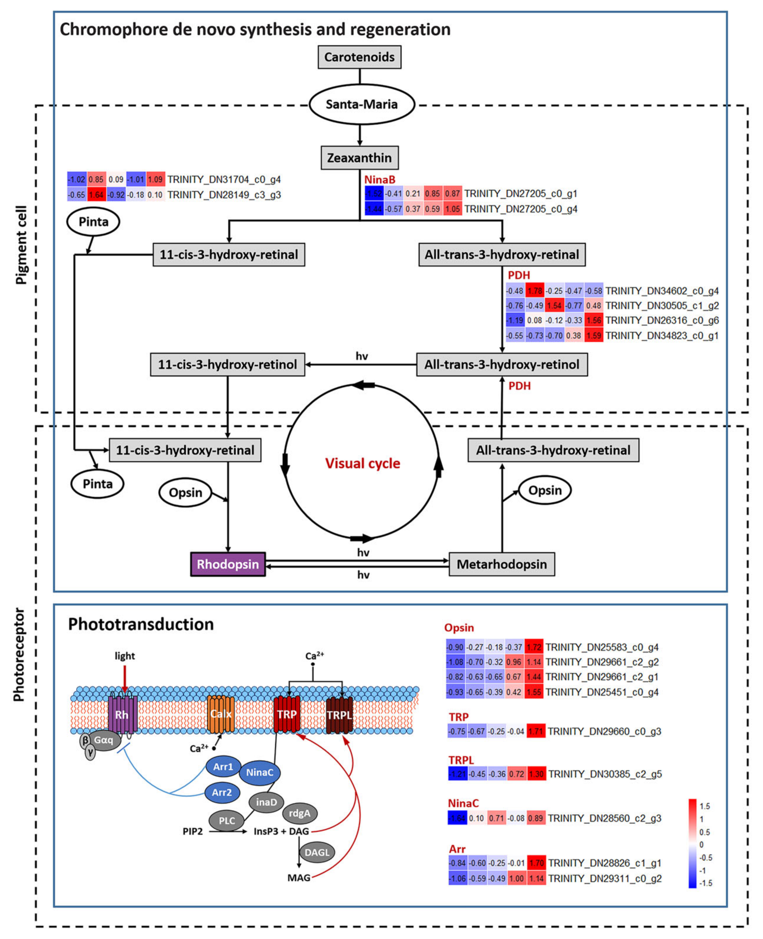 Insects 13 01170 g005 Insects 13 01170 g005