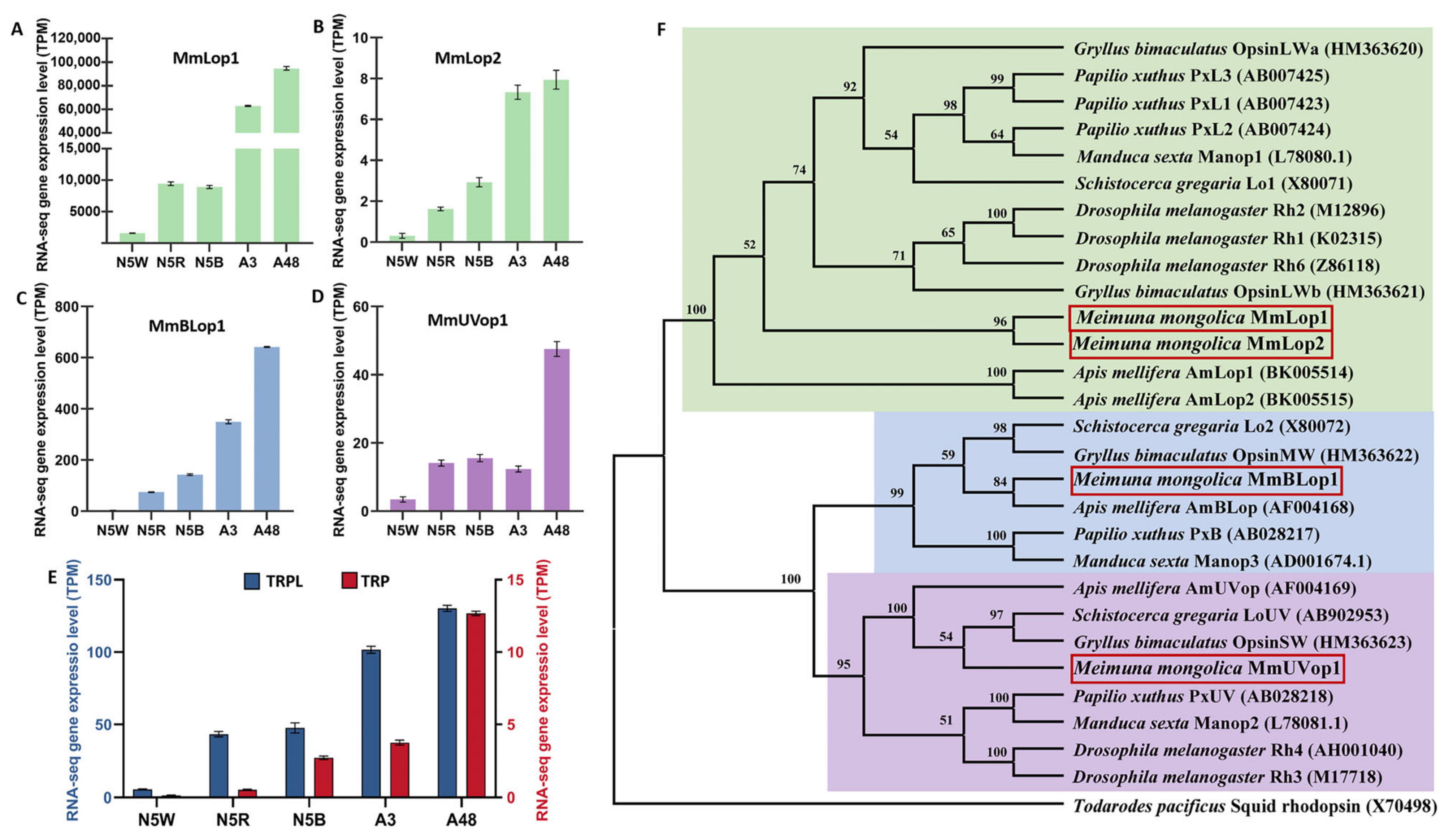 Insects 13 01170 g006 Insects 13 01170 g006