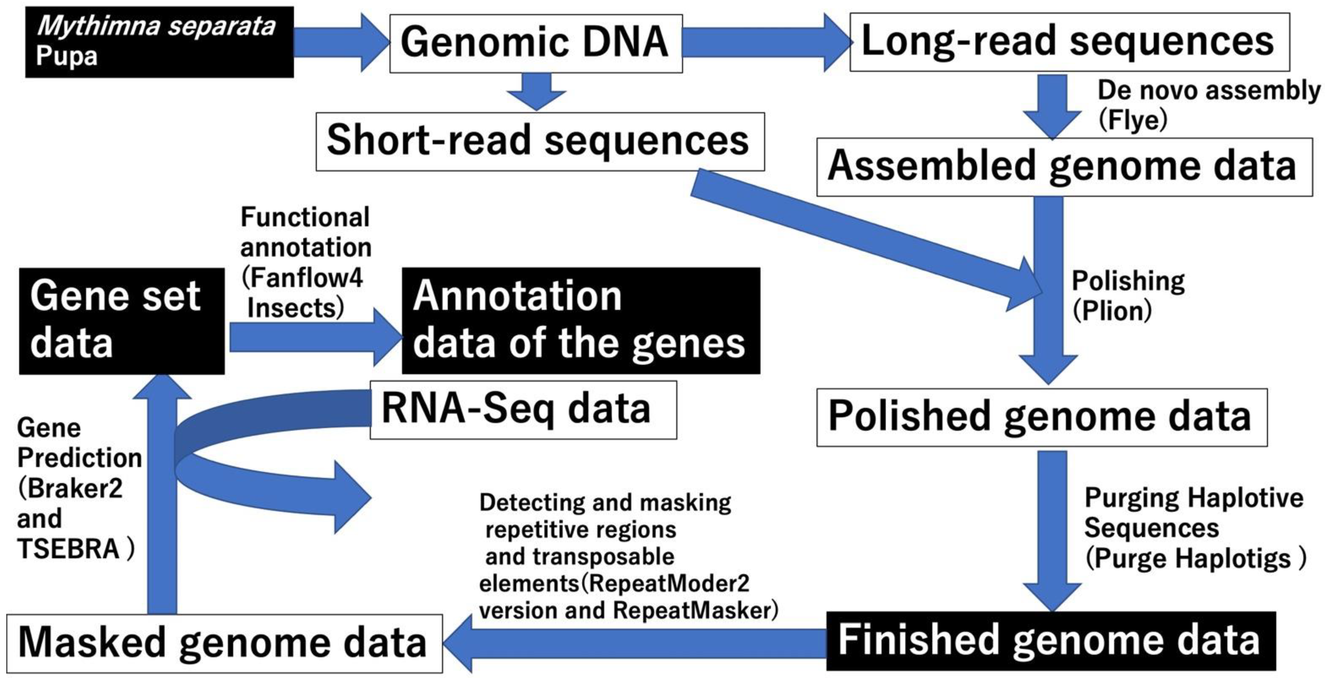 Insects 13 01172 g001 Insects 13 01172 g001