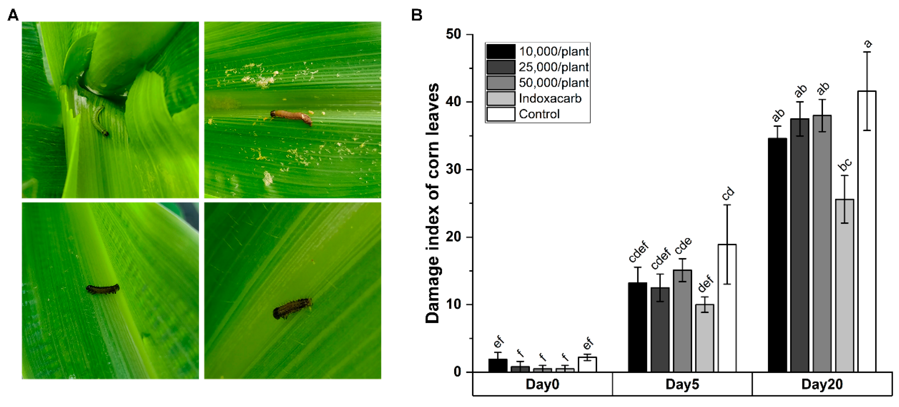 Insects 14 00002 g003