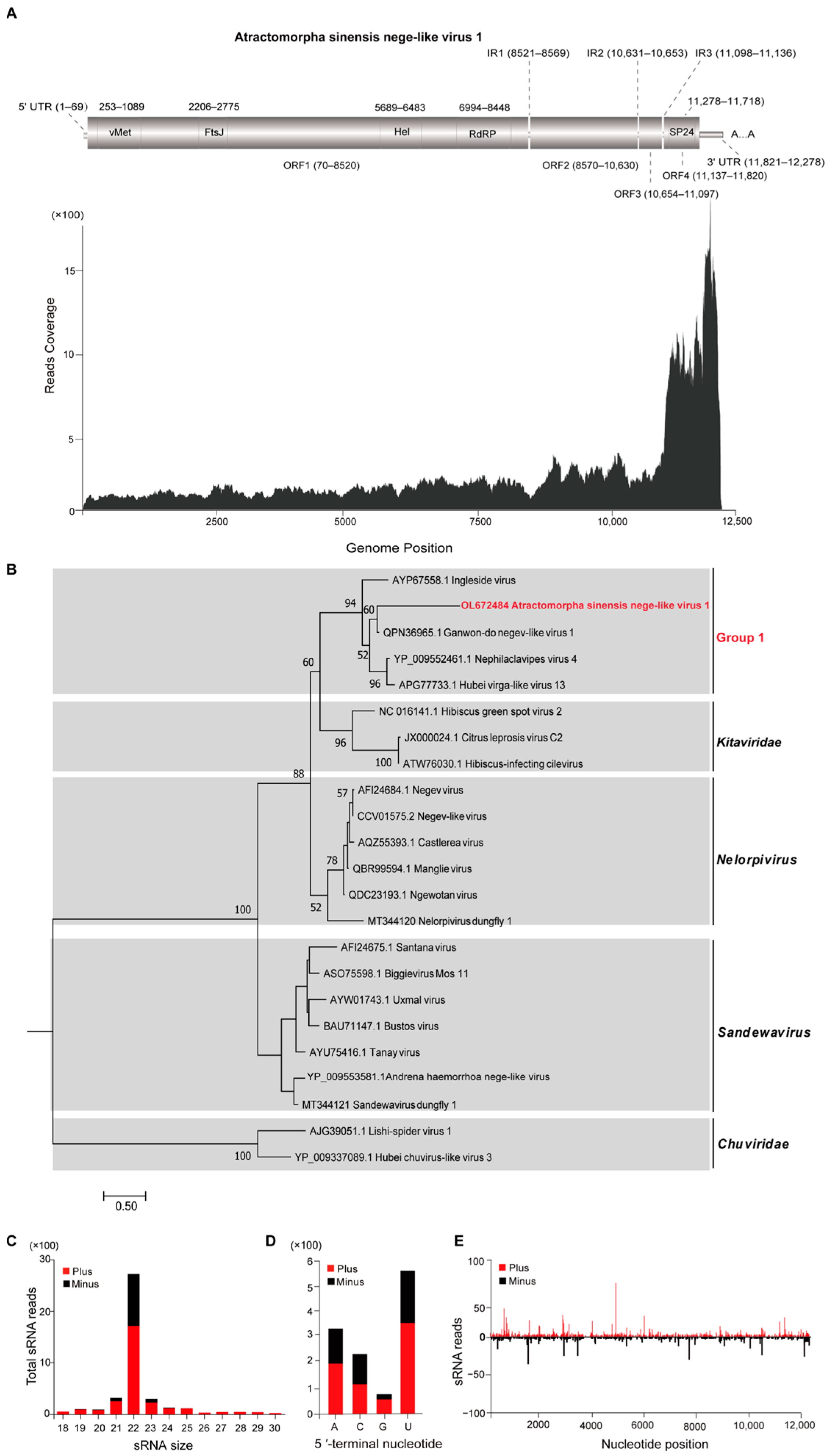 Integrative assessment of the transcriptome and virome of the