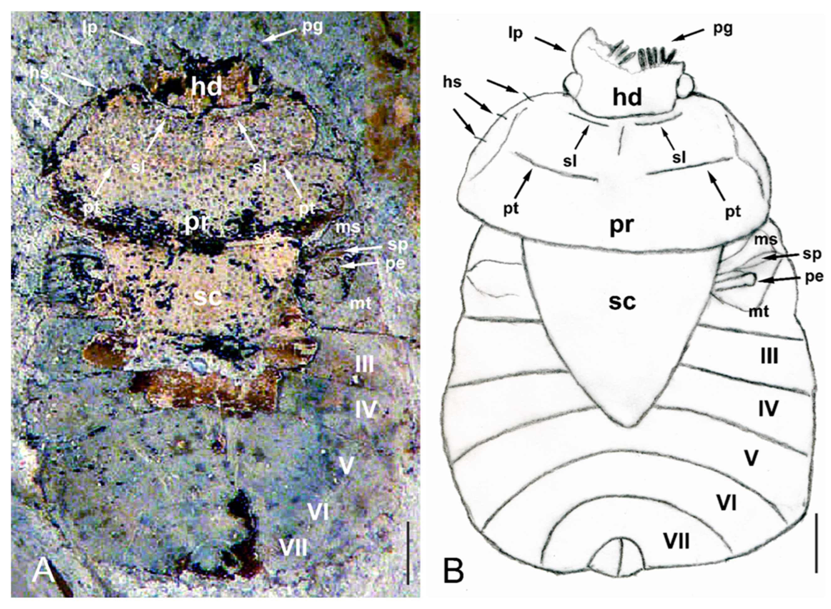 Insects 14 00022 g002 Insects 14 00022 g002