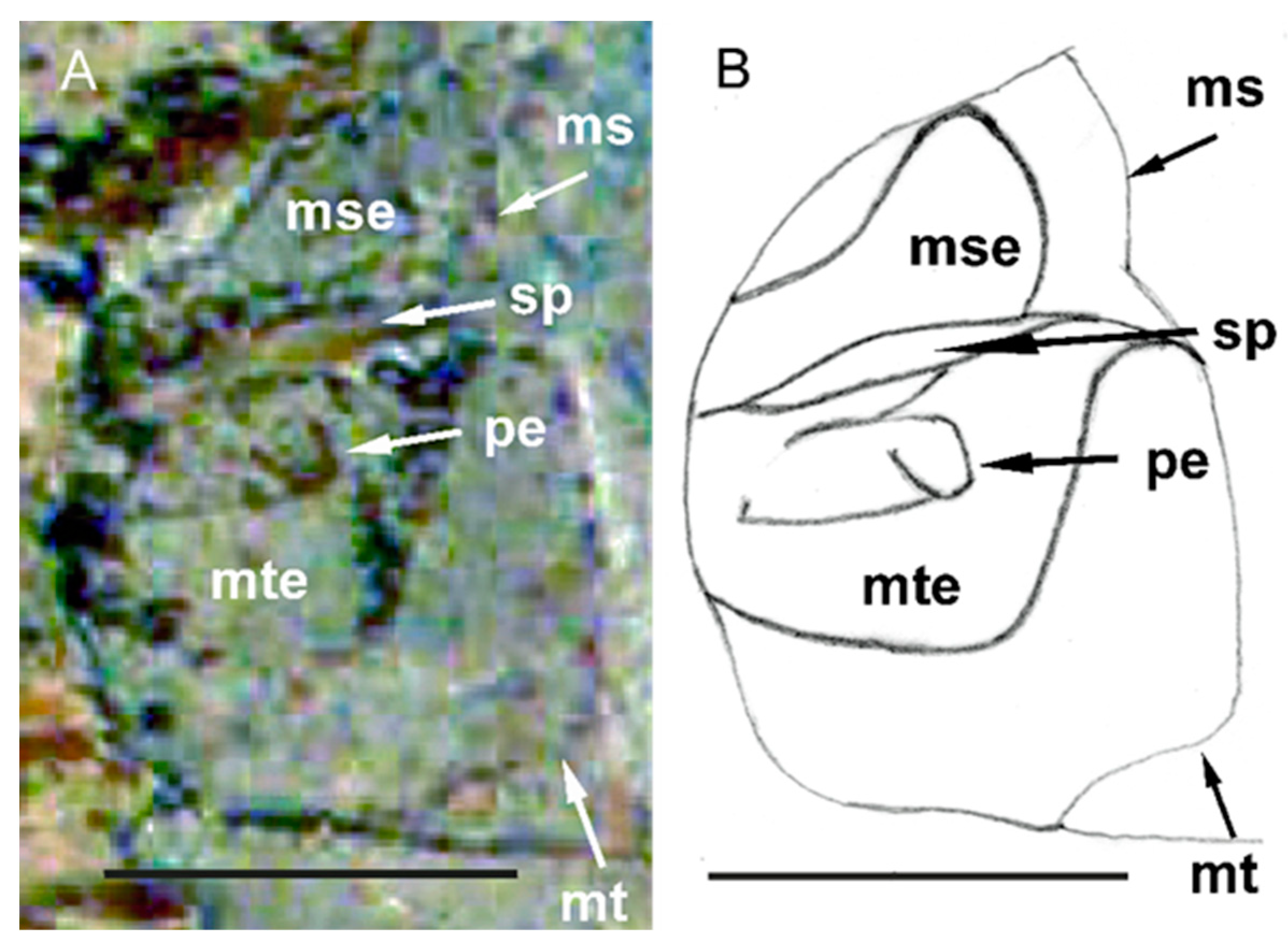 Insects 14 00022 g003 Insects 14 00022 g003