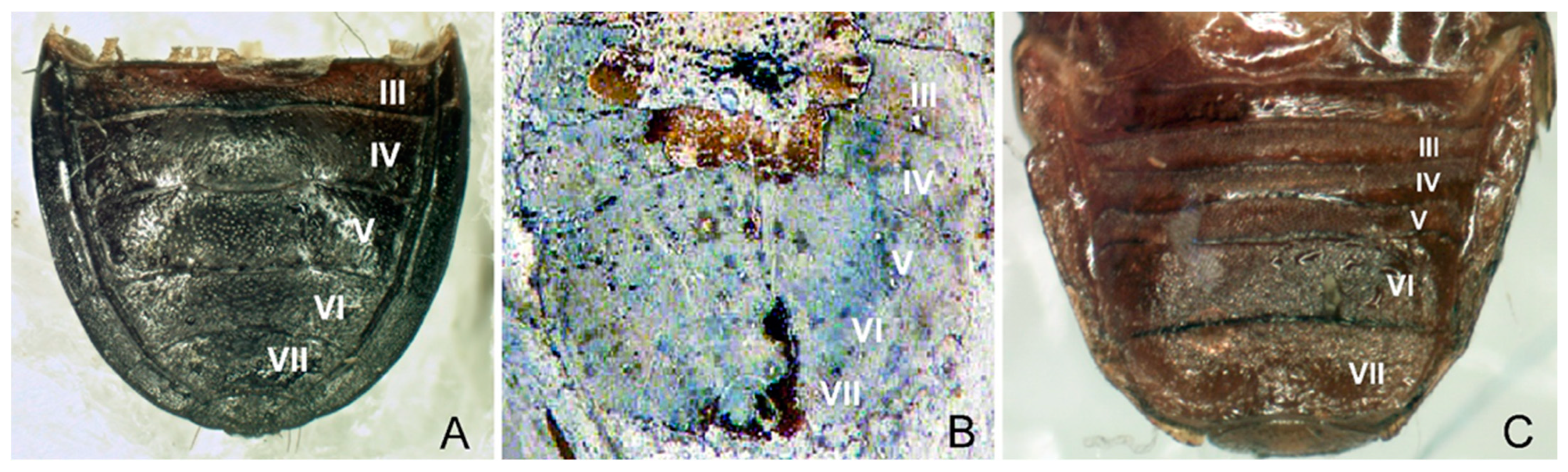 Insects 14 00022 g004 Insects 14 00022 g004