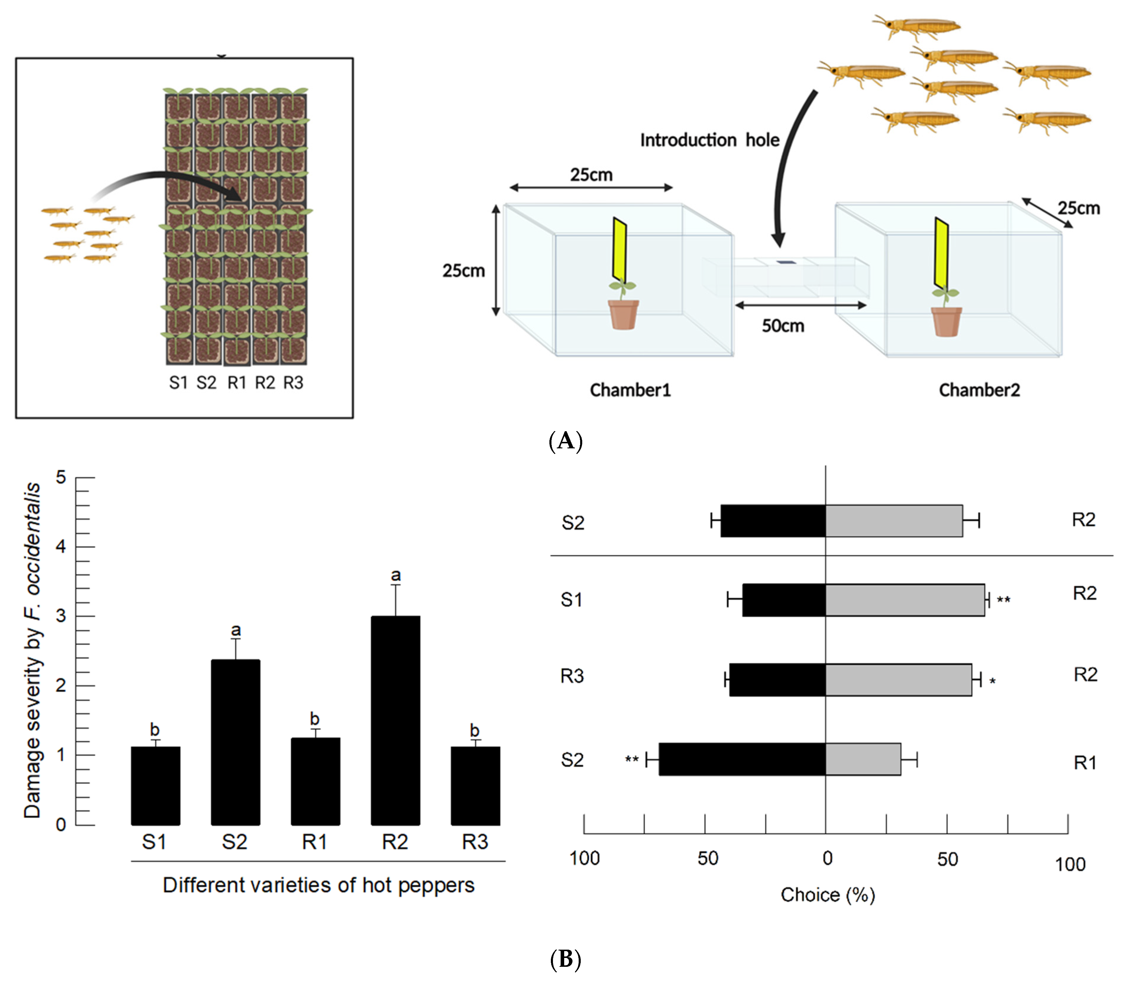 Insects 14 00047 g004 Insects 14 00047 g004