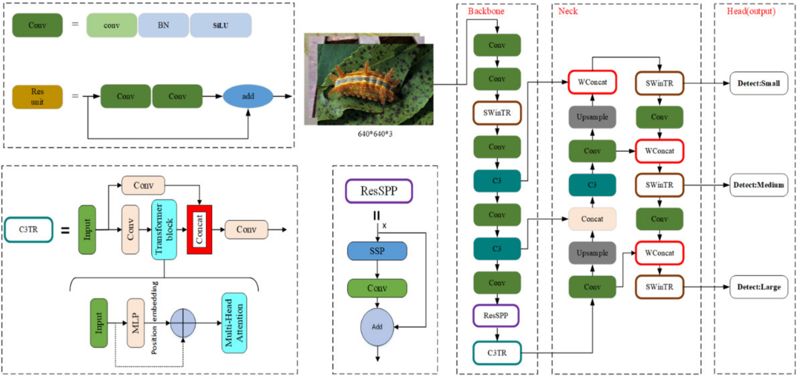 Insects 14 00054 g004