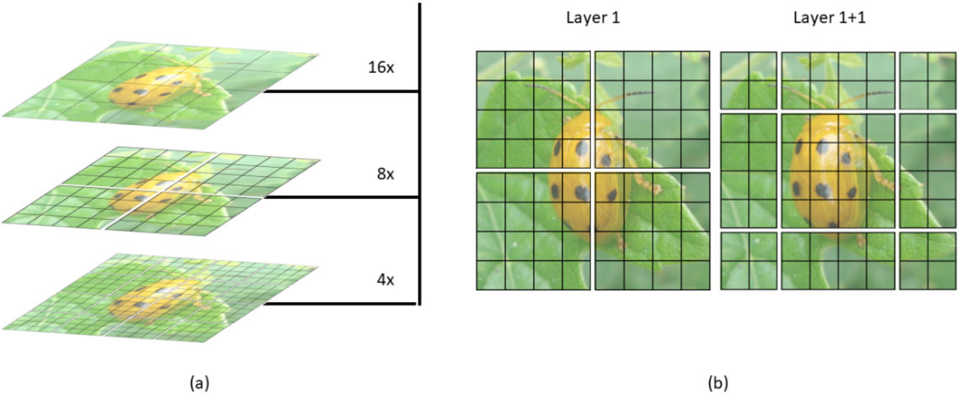 Insects 14 00054 g006