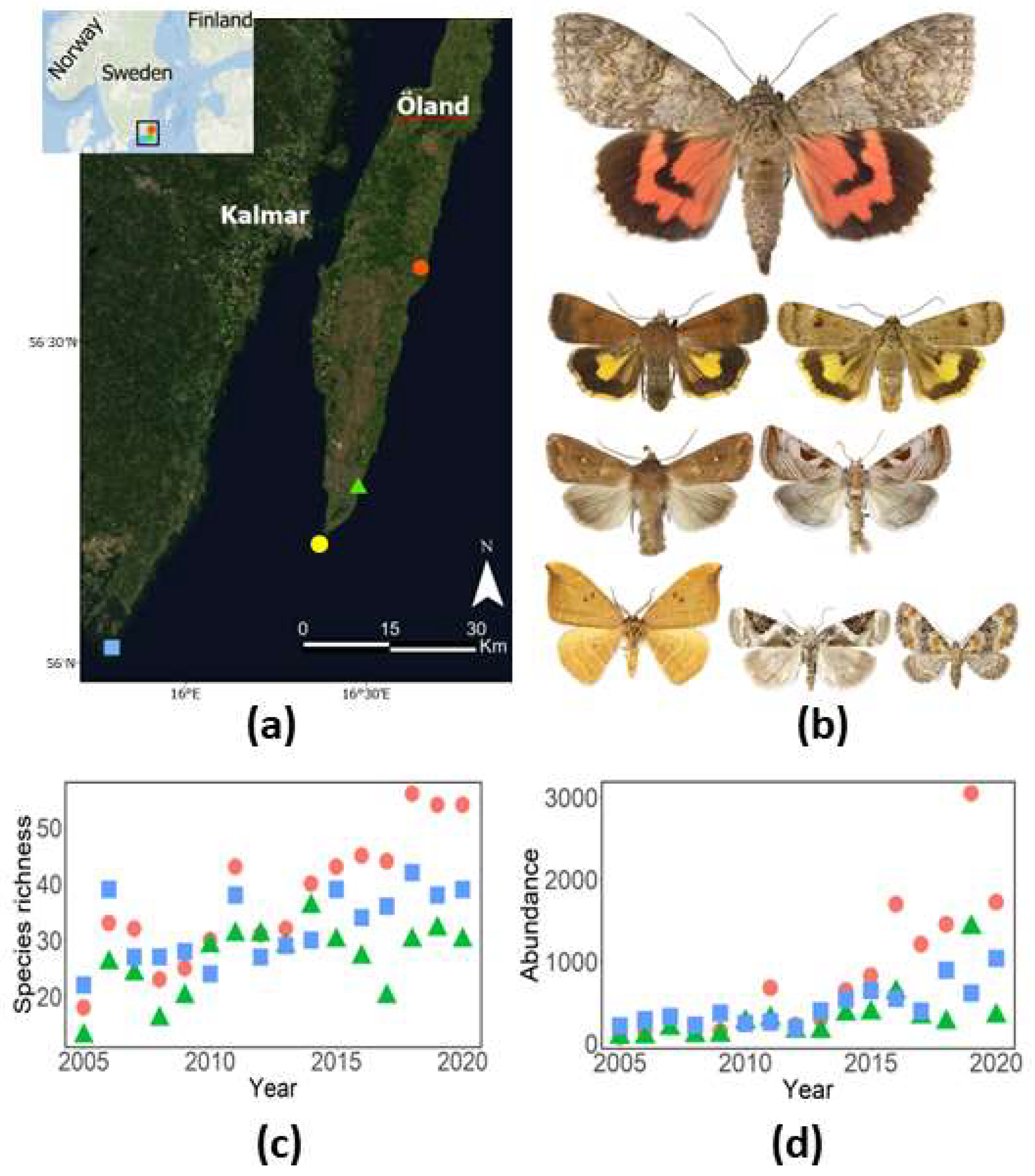 Insects | Free Full-Text | Associations of 16-Year Population Dynamics in  Range-Expanding Moths with Temperature and Years since Establishment