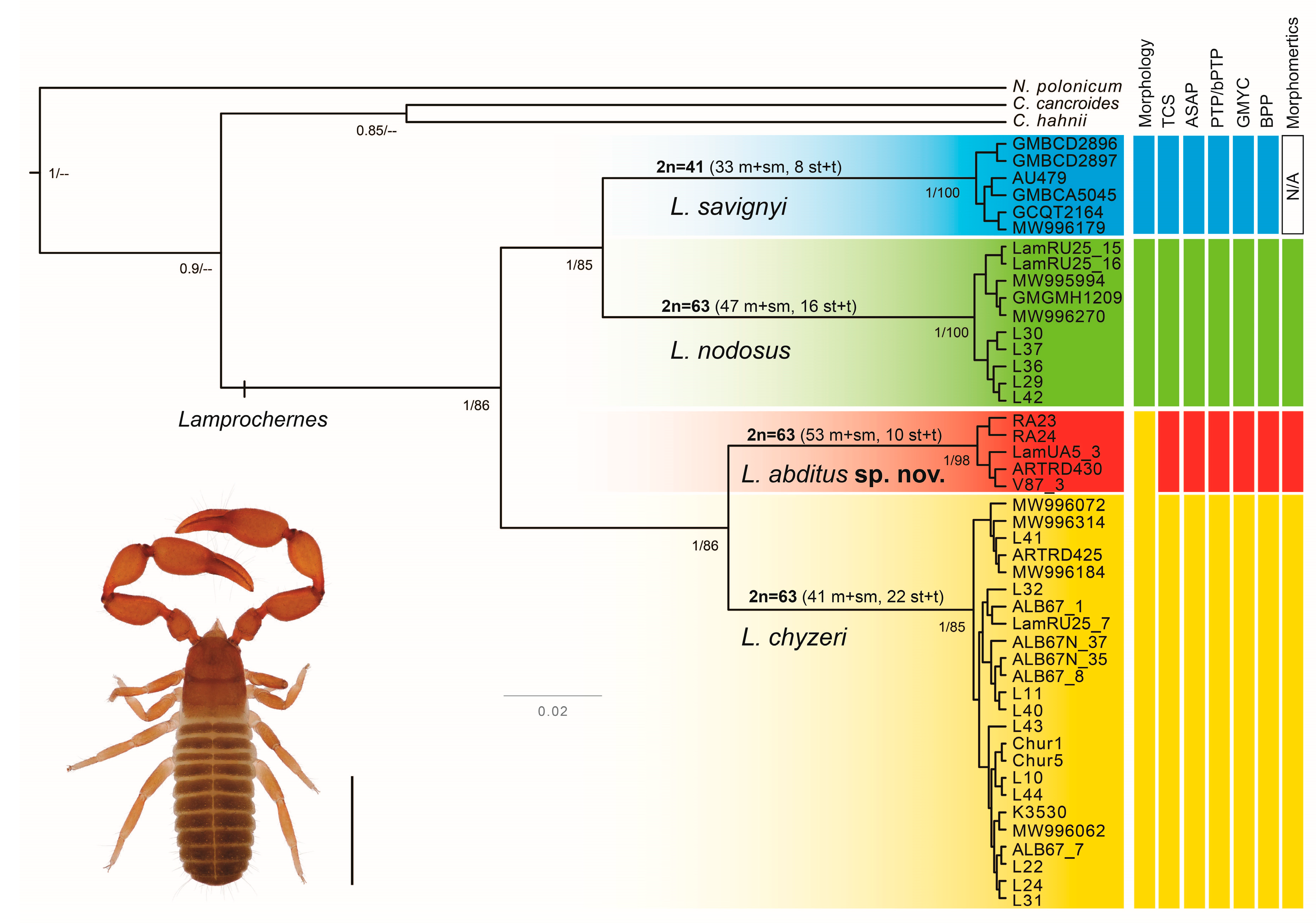 Insects 14 00122 g002