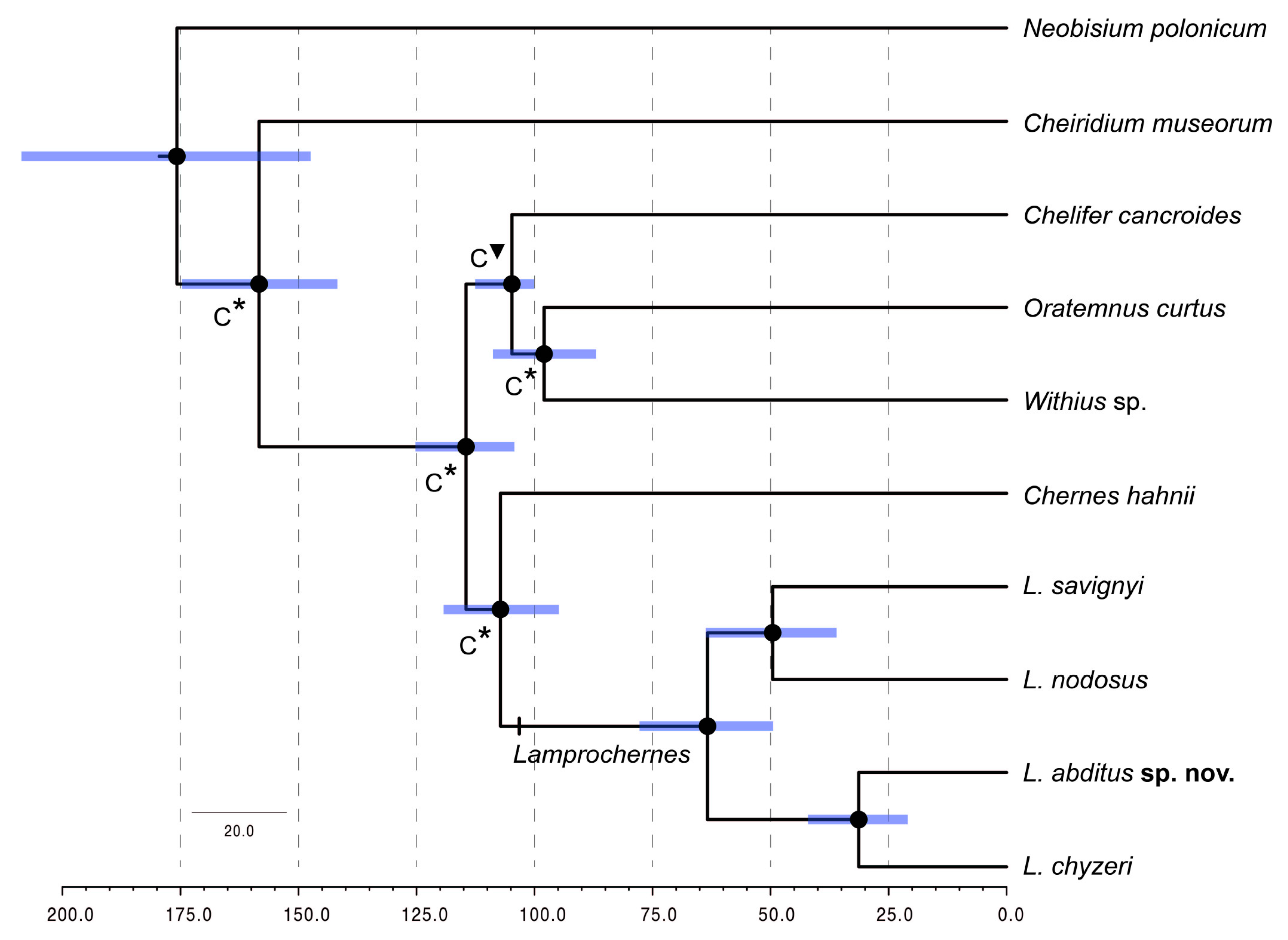 Insects 14 00122 g004