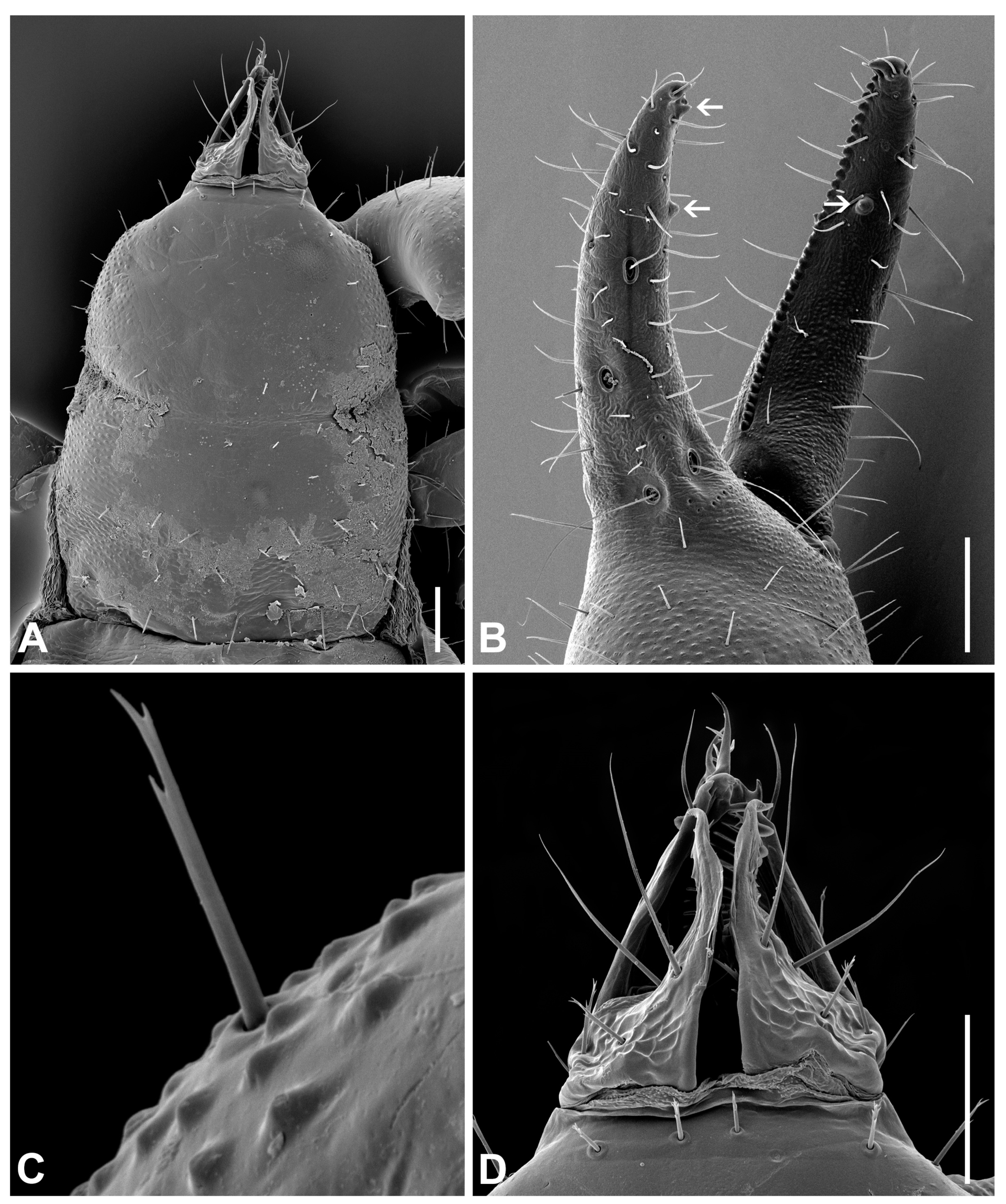 Insects 14 00122 g006