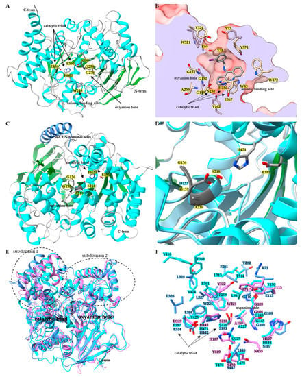 https://www.mdpi.com/insects/insects-14-00194/article_deploy/html/images/insects-14-00194-g001-550.jpg