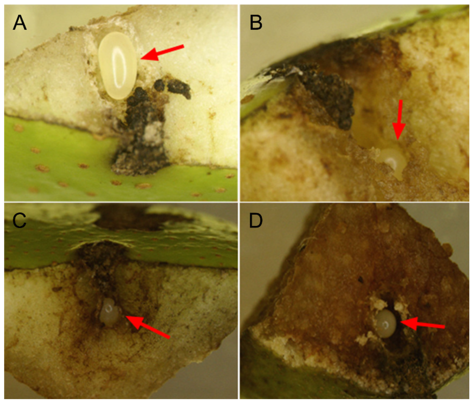 Insects 14 00200 g003 Insects 14 00200 g003