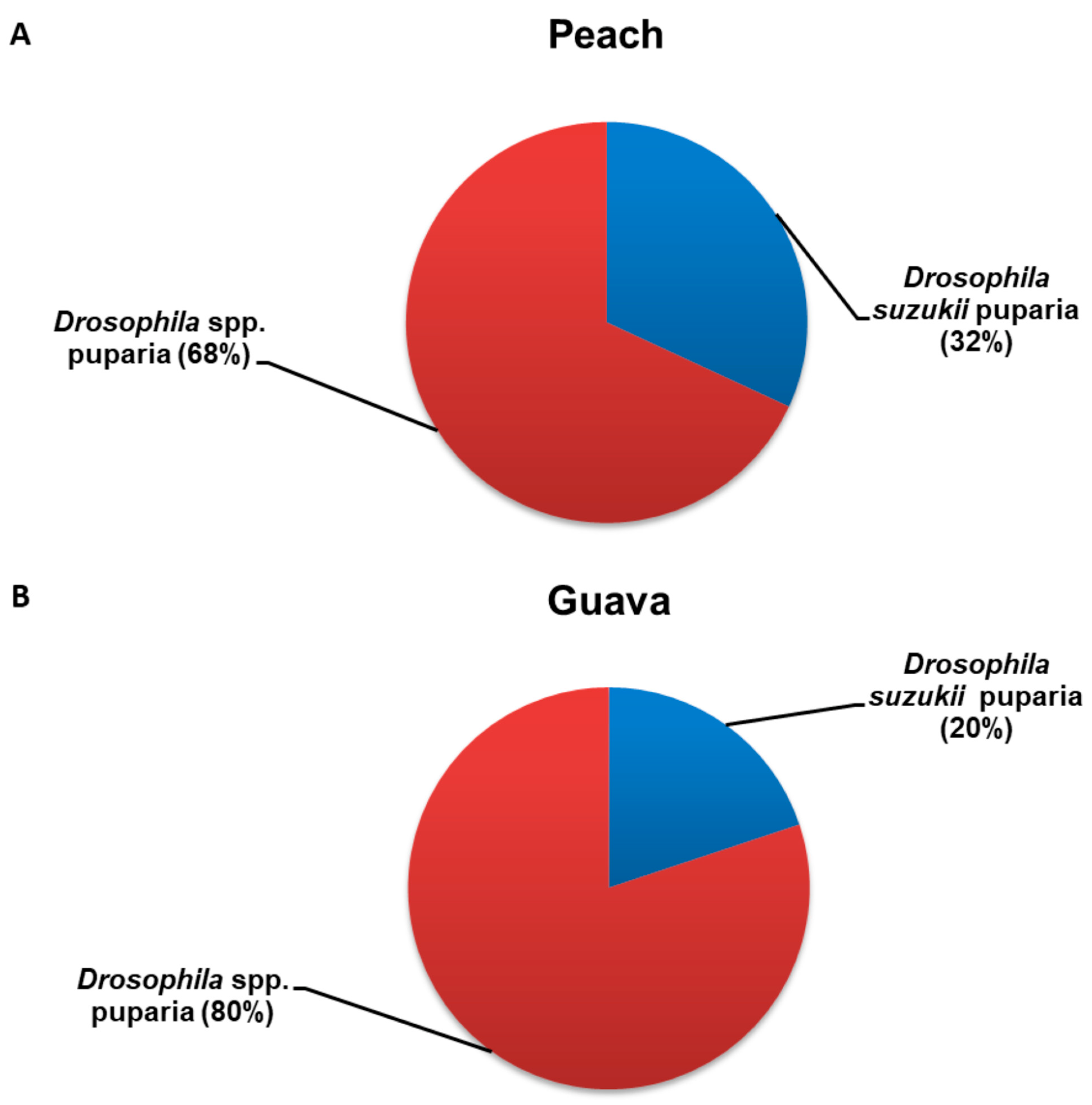 Insects | Free Full-Text | Implications of the Niche Partitioning and