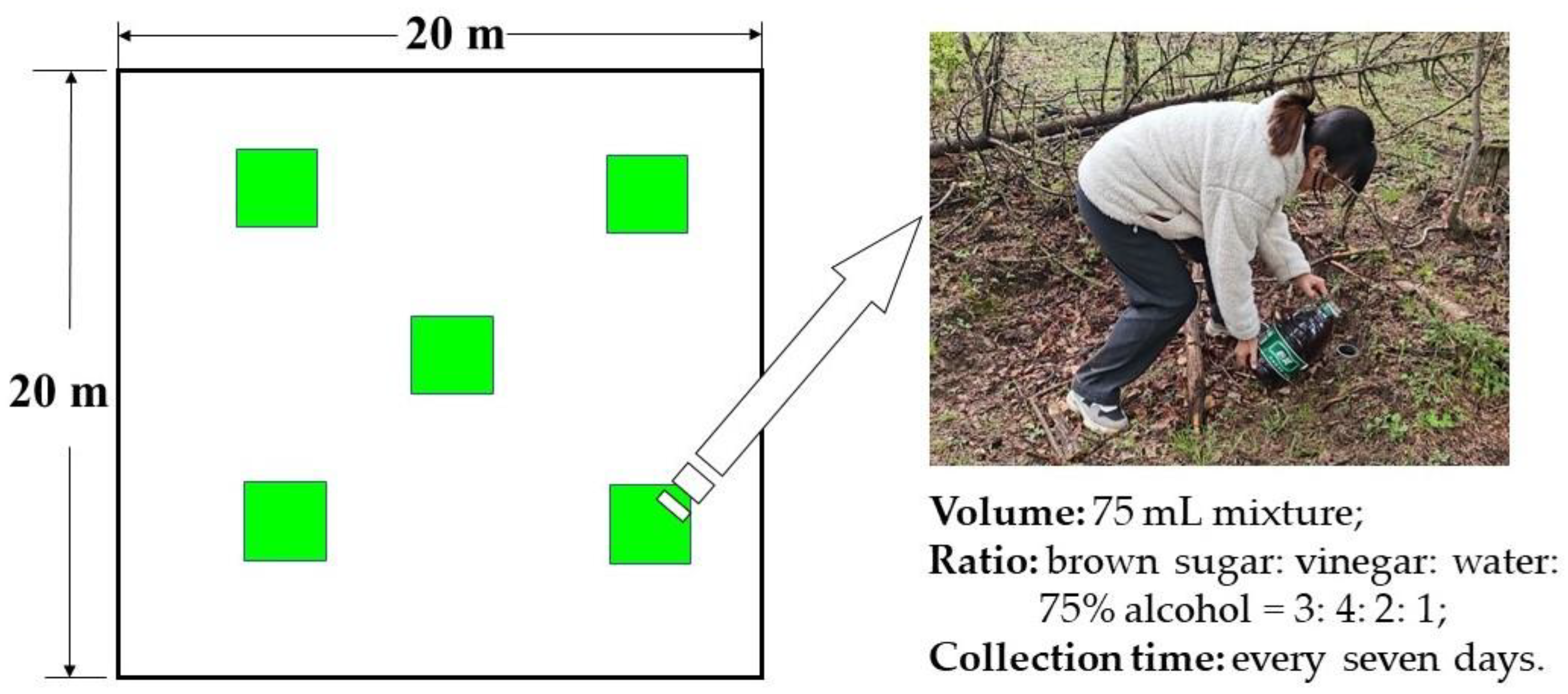 Insects 14 00224 g001 Insects 14 00224 g001