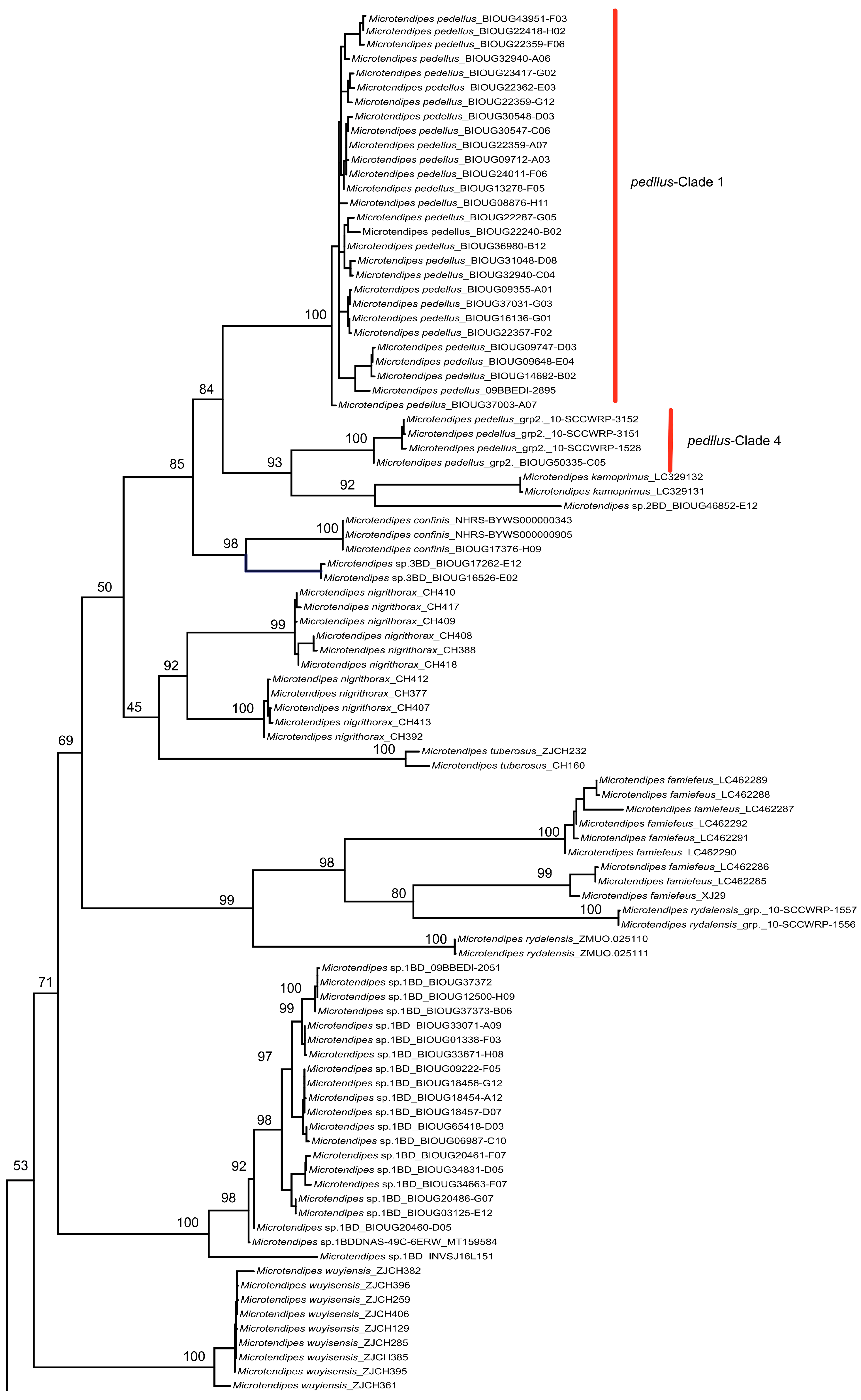 Insects 14 00227 g001a