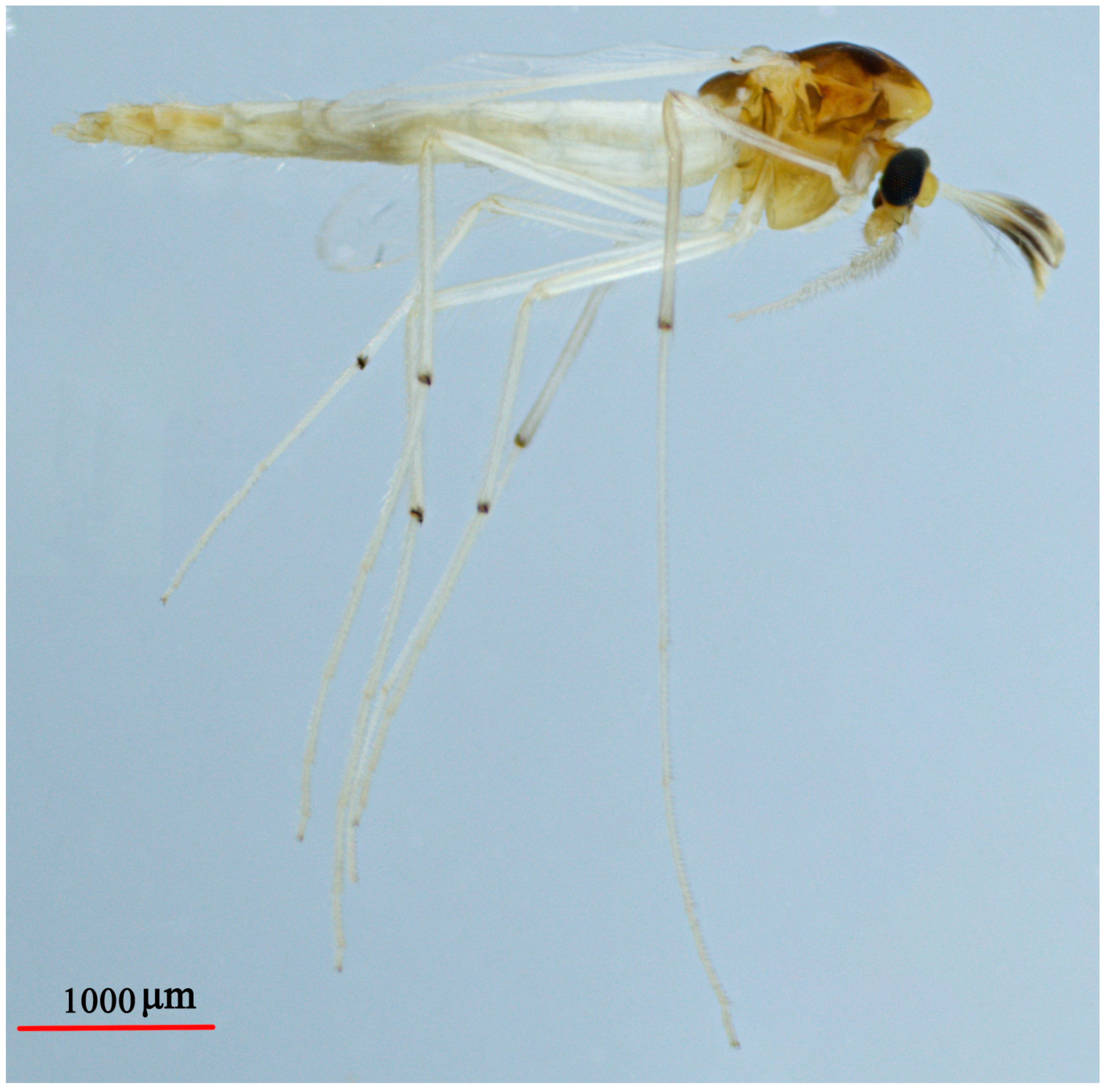 Insects 14 00227 g004