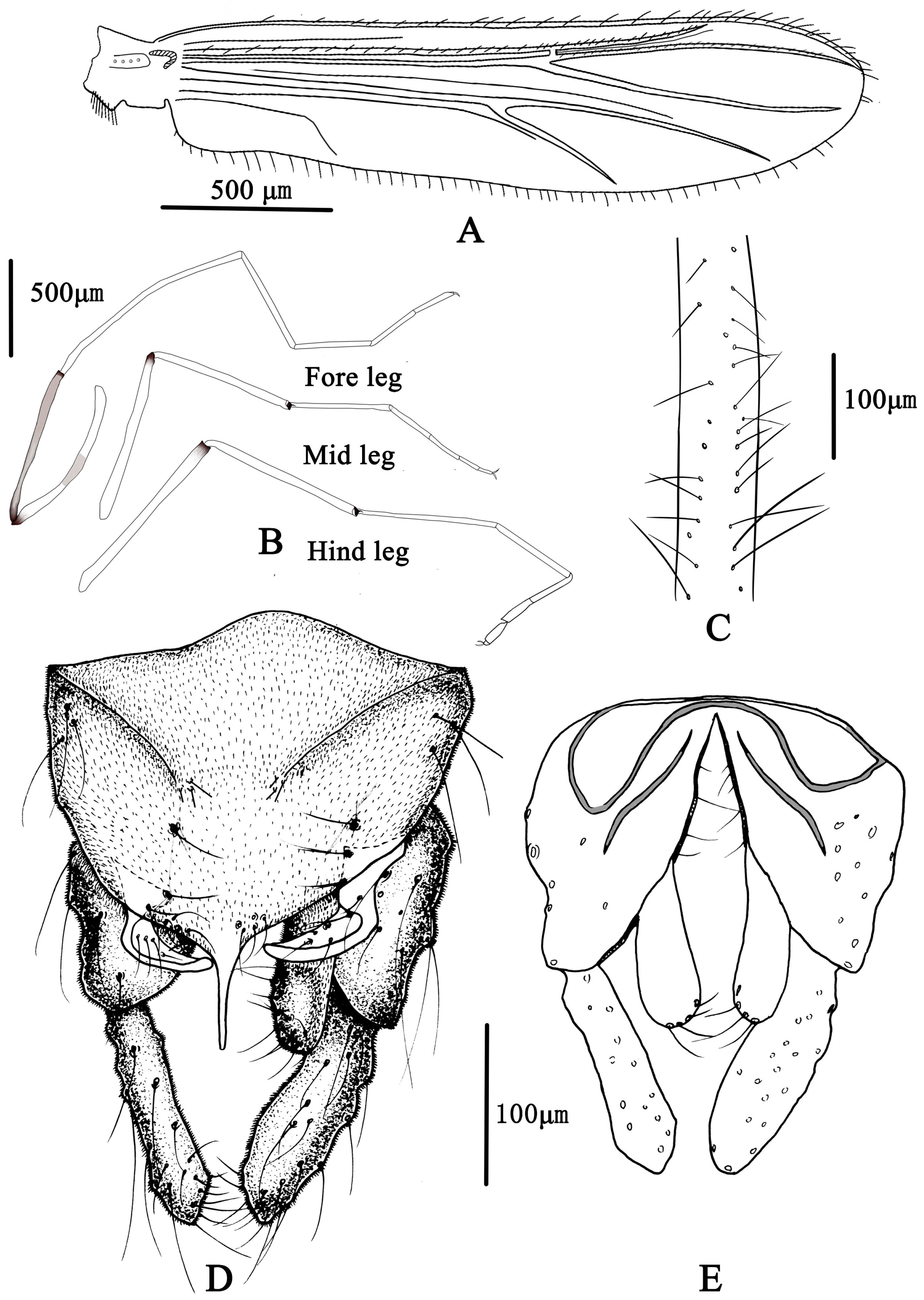Insects 14 00227 g005