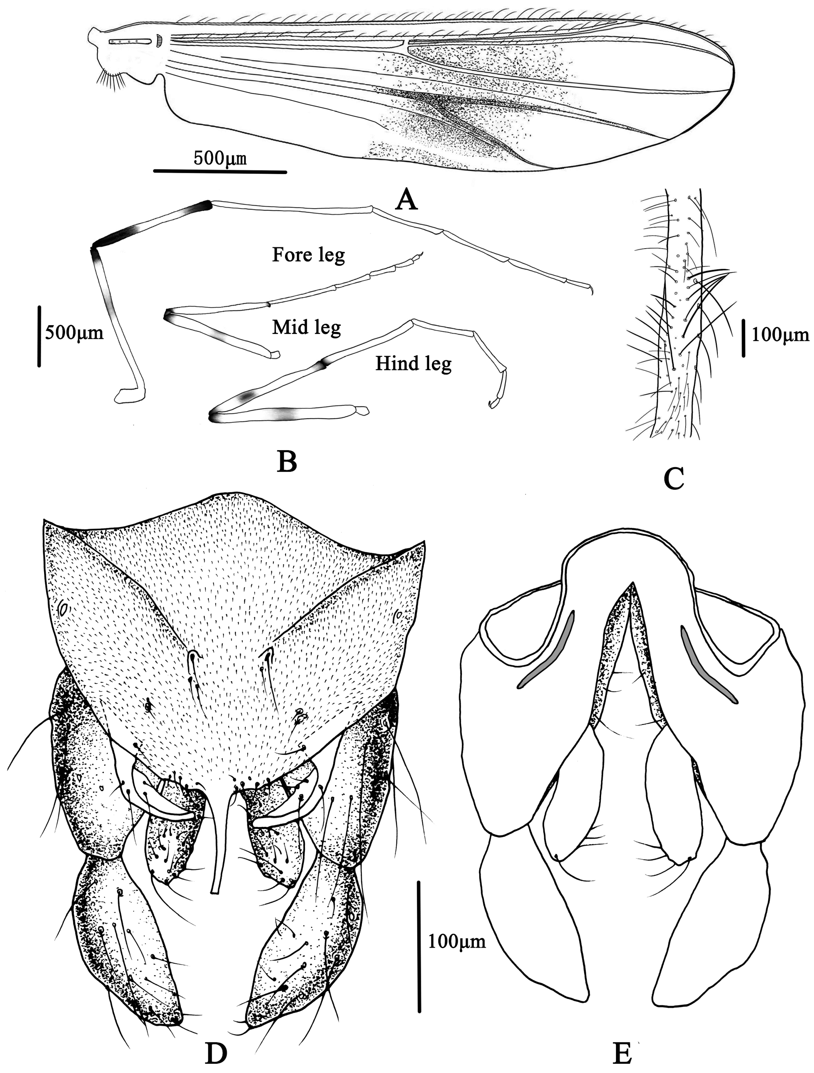 Insects 14 00227 g007