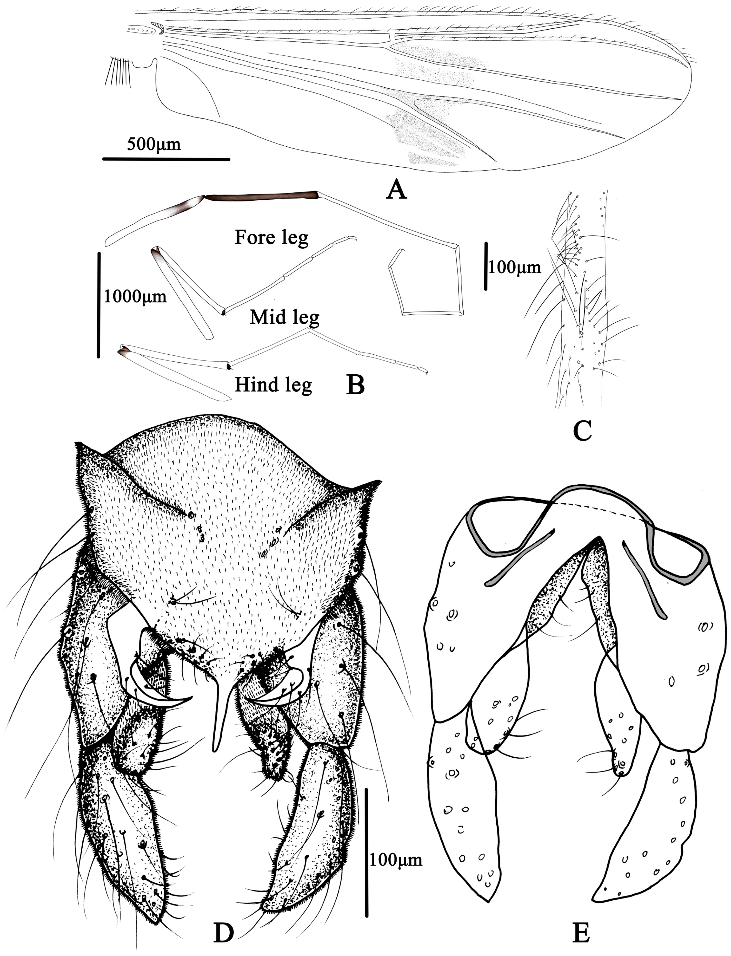 Insects 14 00227 g013