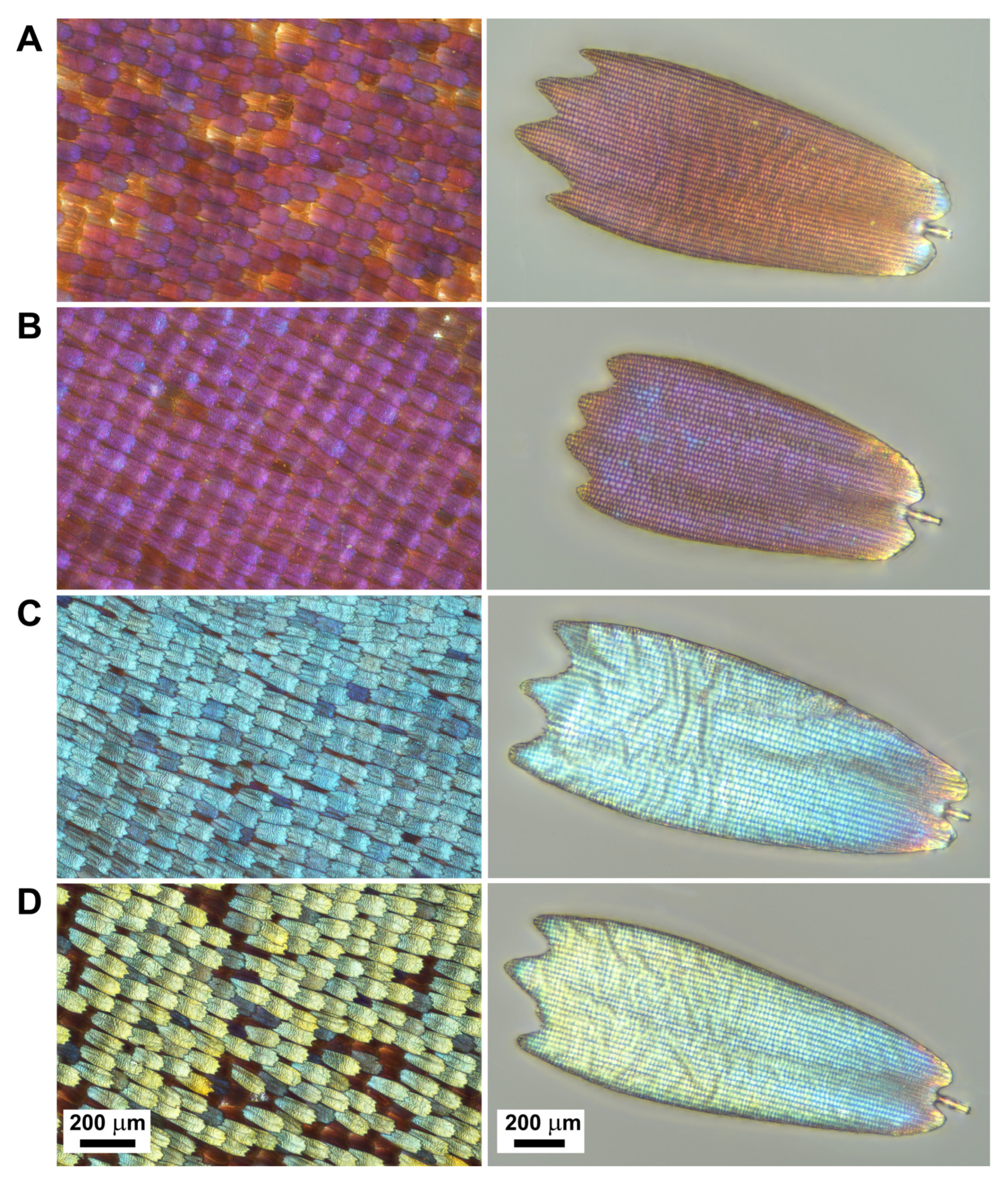 Insects 14 00303 g003 Insects 14 00303 g003