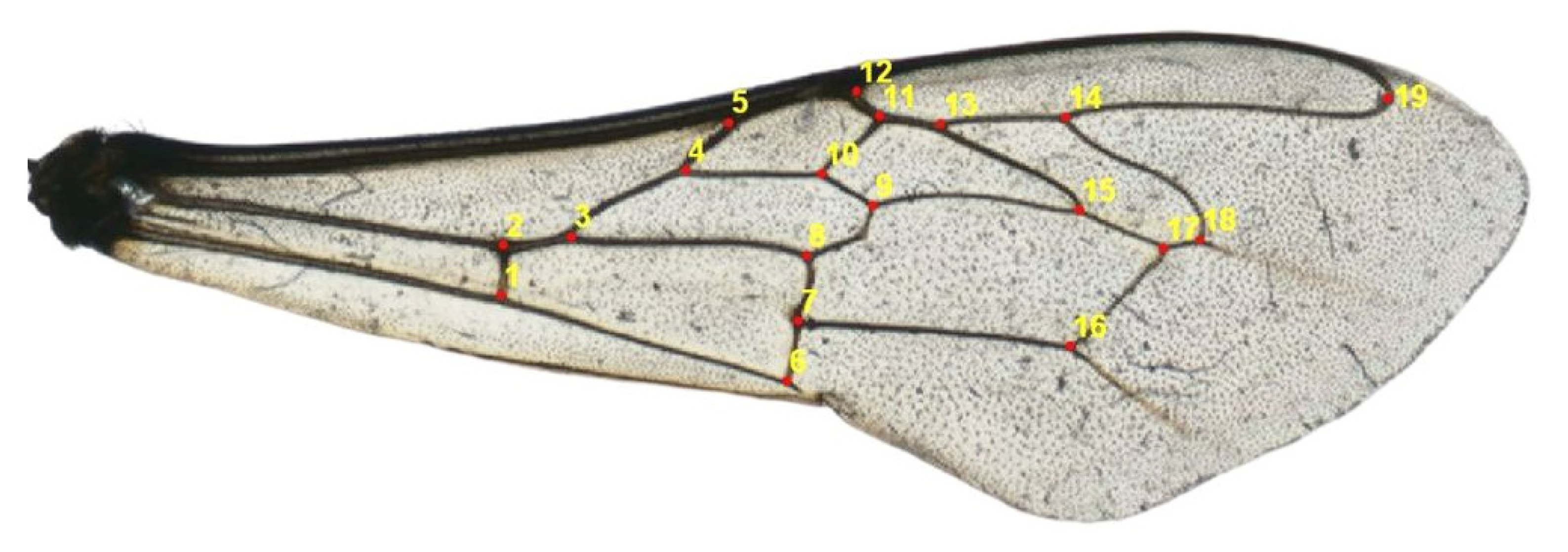Insects 14 00306 g002 Insects 14 00306 g002