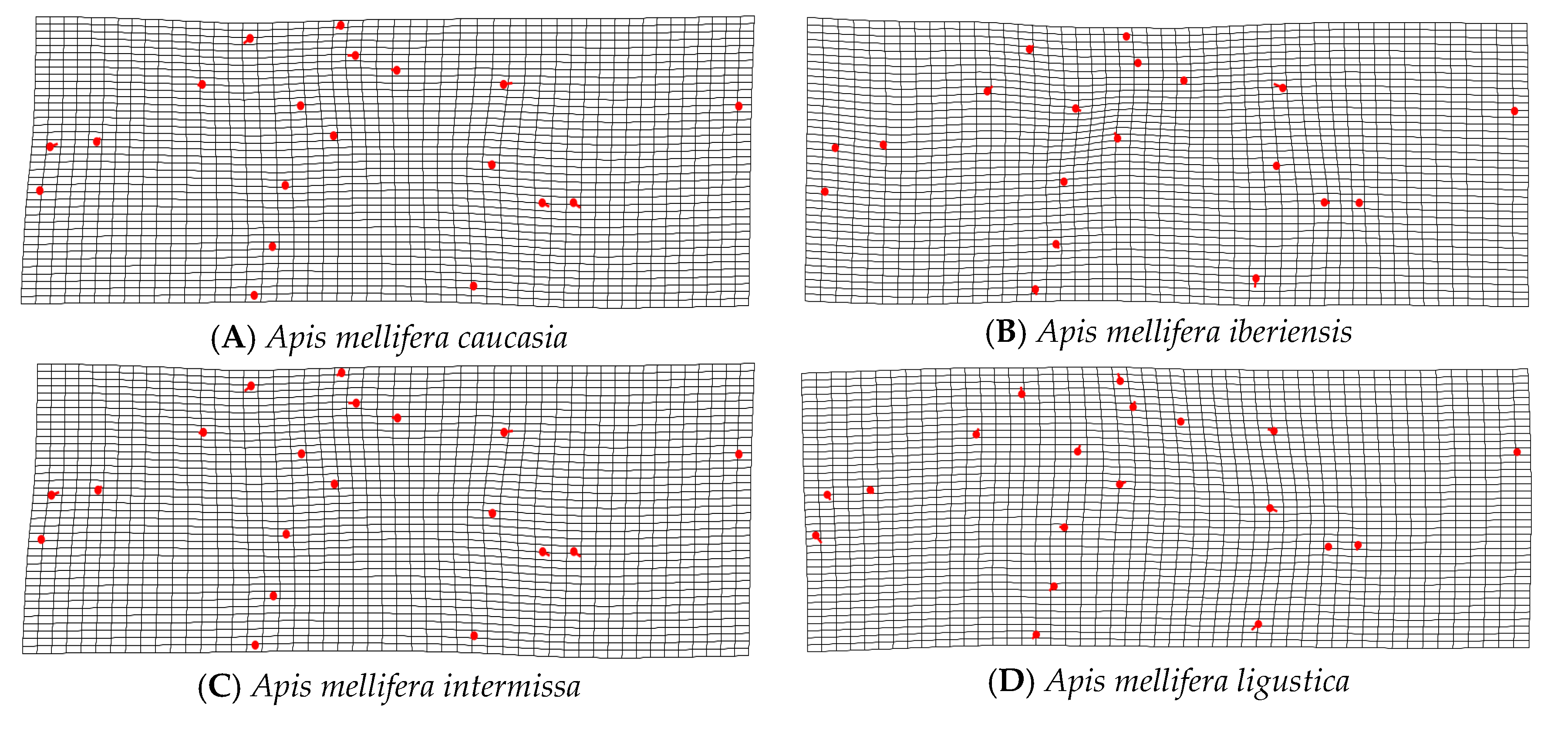Insects 14 00306 g005a Insects 14 00306 g005a