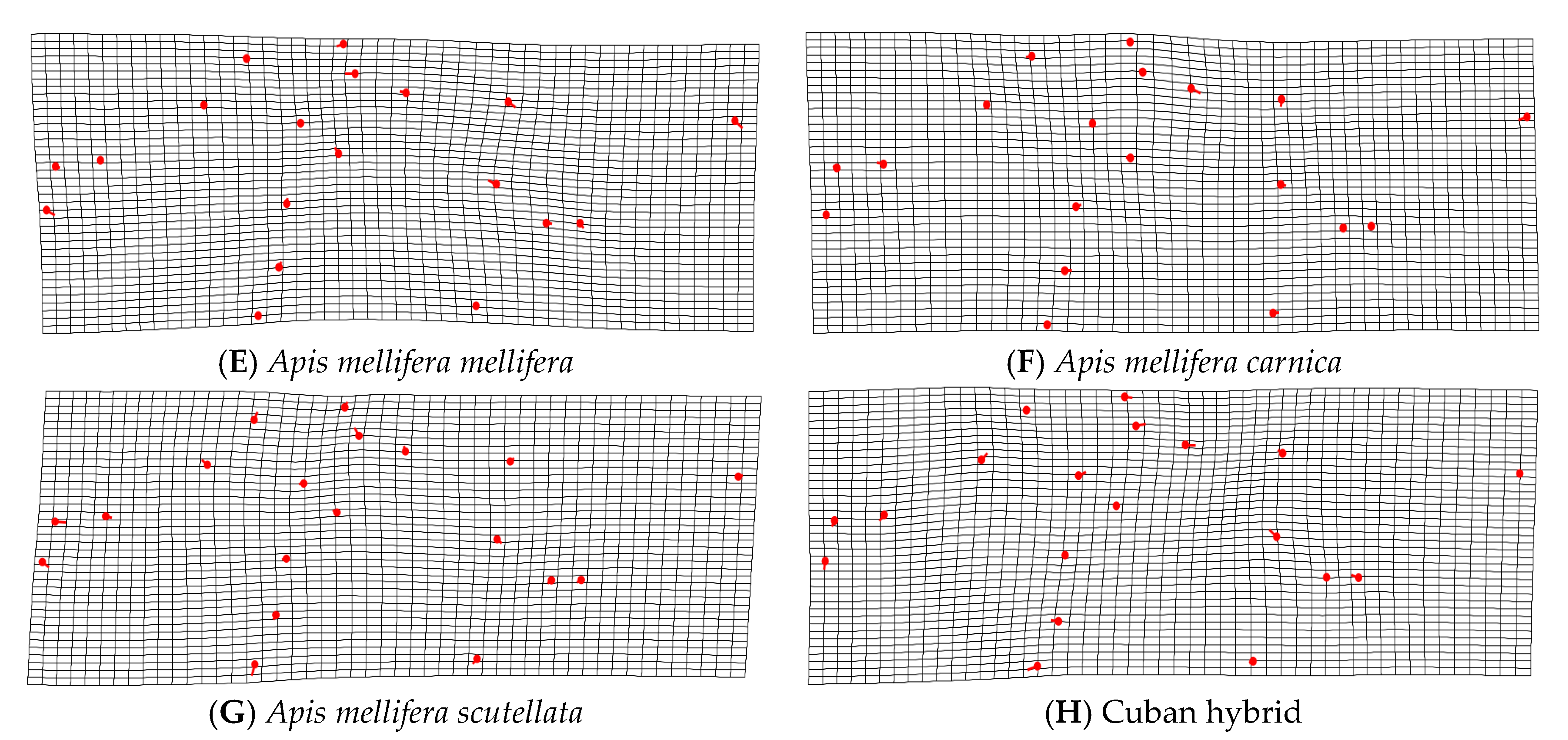 Insects 14 00306 g005b Insects 14 00306 g005b
