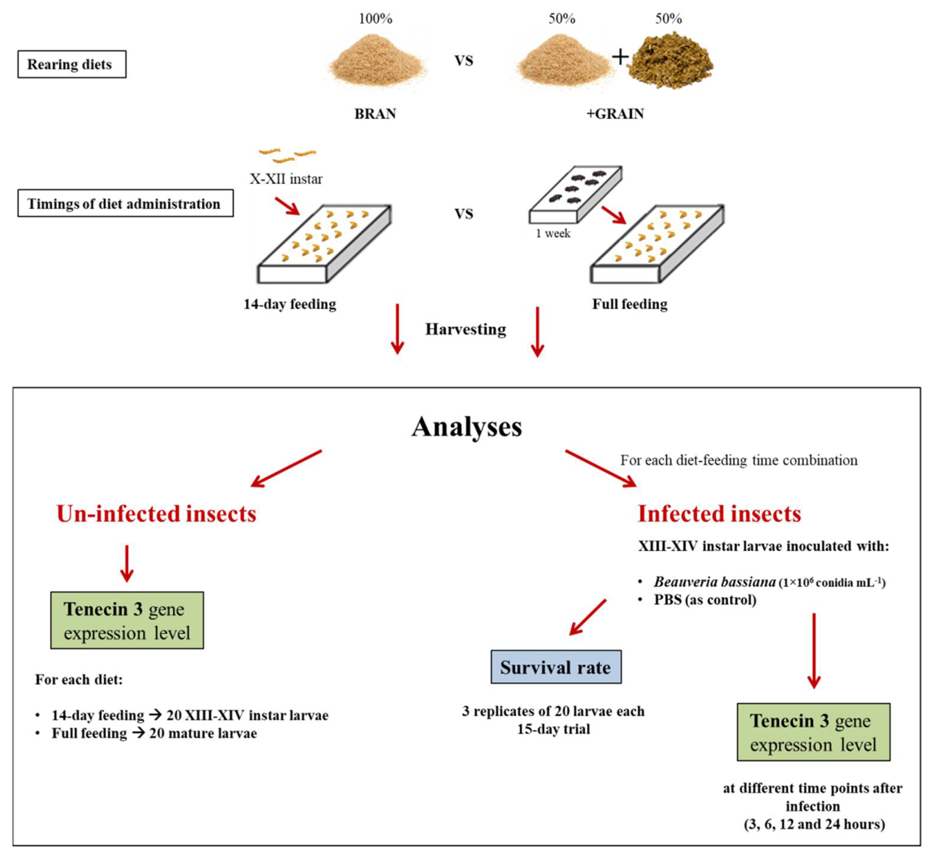 Insects 14 00359 g001