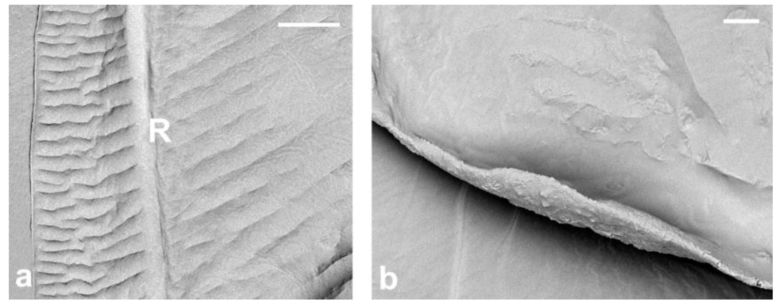 Insects 14 00390 g002 Insects 14 00390 g002