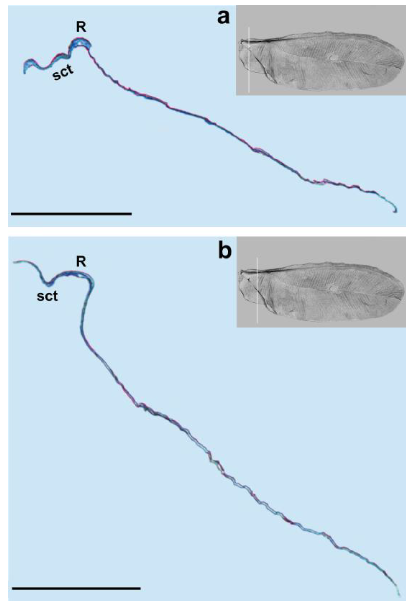 Insects 14 00390 g003 Insects 14 00390 g003